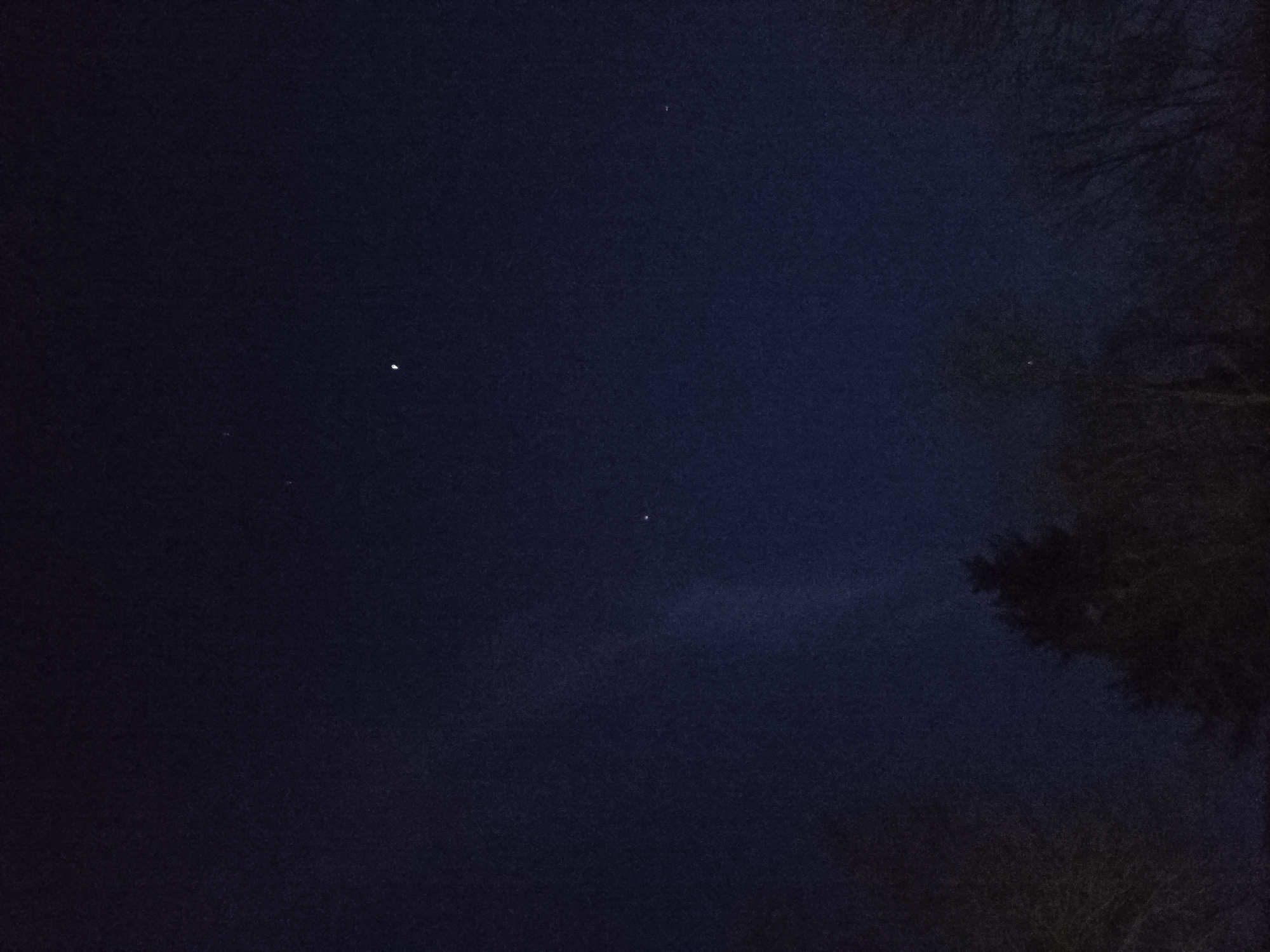 The image shows a dark, night sky in an unidentified location. A few stars are visible, appearing as small, faint white points against the dark blue backdrop. Tree branches are silhouetted against the sky in the upper right corner of the image. A patch of dark cloud is visible in the bottom center of the image.