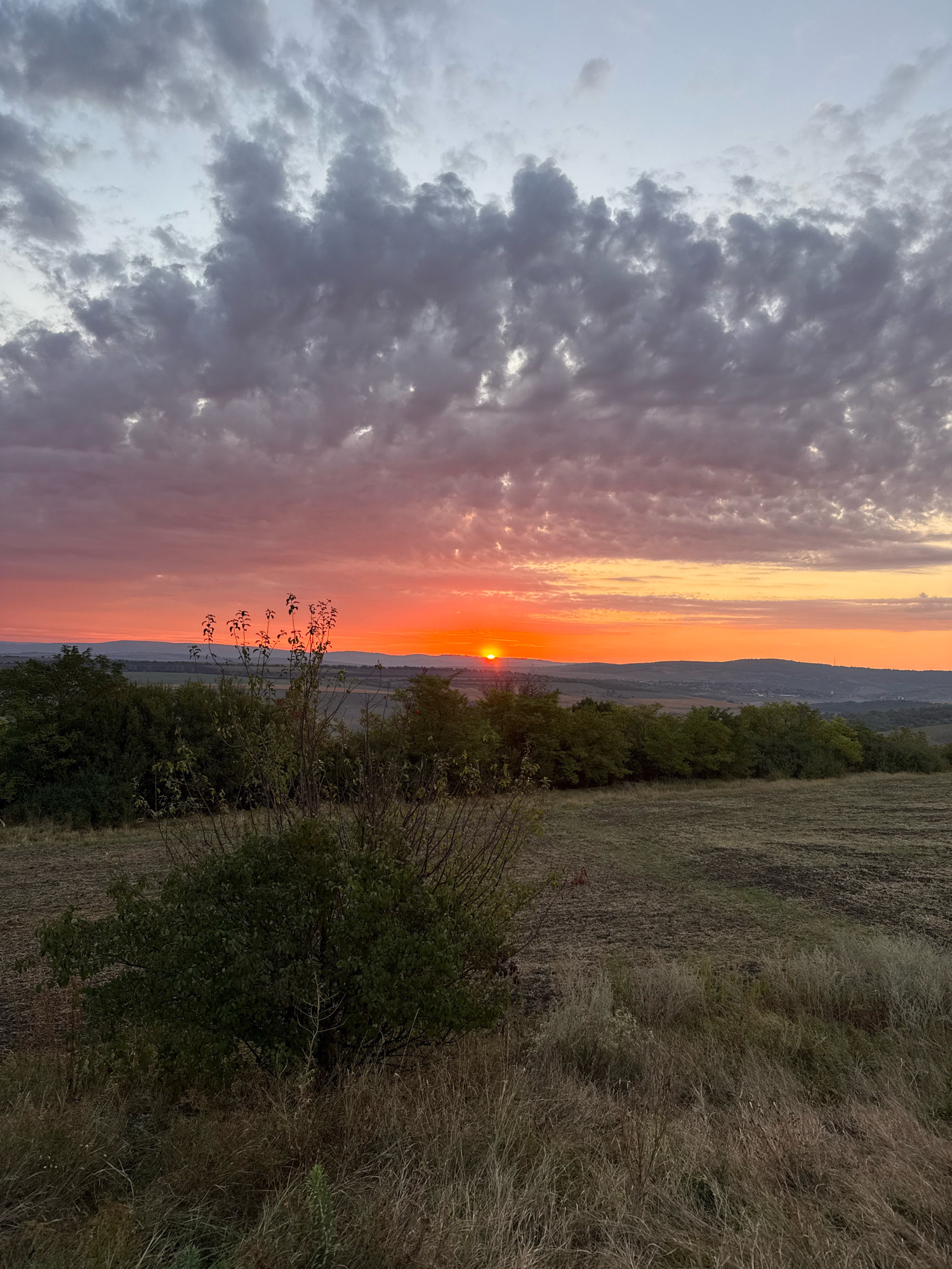 The image depicts a sunset scene in Zagarancea, Moldova. The sky is filled with dramatic clouds, transitioning from a soft orange glow near the horizon to a muted grey and blue overhead. The sun, a bright orange orb, is setting behind a line of distant hills. In the foreground, there is a field with dry grass and a few scattered bushes. A line of trees runs across the middle ground, separating the field from the distant landscape. The overall impression is one of a peaceful rural evening.