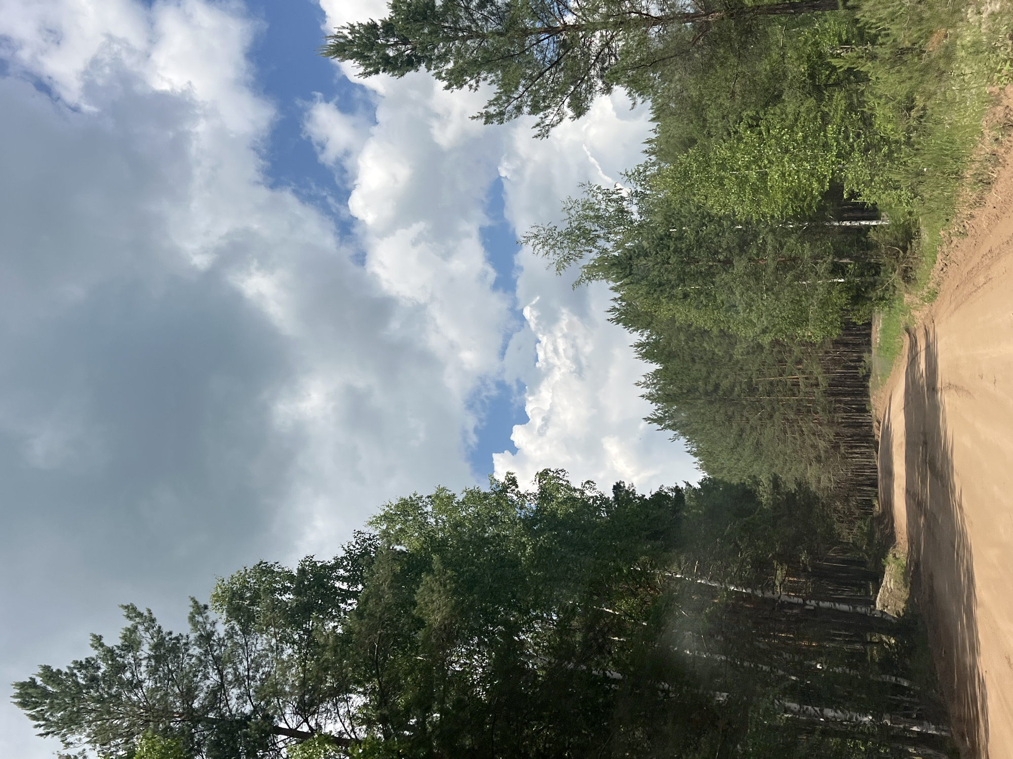 The image depicts a dirt road winding through a forest. On the left side of the road, there is a dense stand of birch and pine trees, with some of the birch trees showing their characteristic white bark. On the right side, the forest continues, primarily composed of pine trees, with a few scattered deciduous trees interspersed. The road is a light brown color, appearing well-traveled, and shows some tire tracks. The sky above is a mixture of blue patches and fluffy white clouds, suggesting fair weather. The overall impression is that of a rural or natural landscape, consistent with the outskirts of Kirillovka, Russia, which is known for its natural surroundings and proximity to forests. There are no people or animals visible in the image.