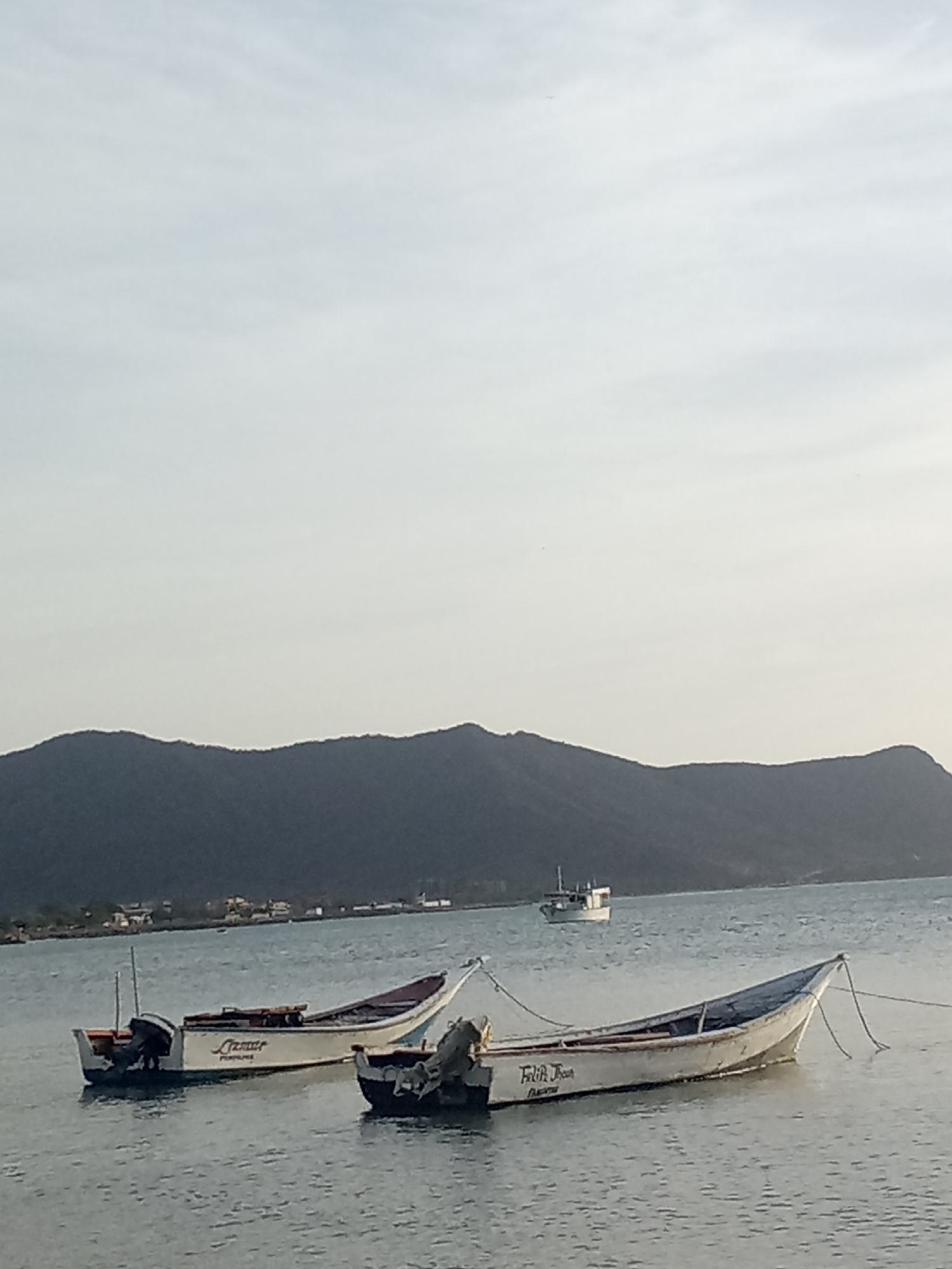The image depicts a seascape with two small, white fishing boats anchored in the foreground. One boat has the word "Lamar" inscribed on its side, and the other has "Felik Joan." Both have outboard motors. In the background, a silhouette of a mountainous landmass stretches across the horizon. A larger vessel is visible in the water between the boats and the distant shore. The sky is overcast, suggesting either early morning or late afternoon light. The location is likely Juan Griego, Venezuela, given the context of the prompt, and the scene appears to be a tranquil bay or inlet. No people are visible in the image.