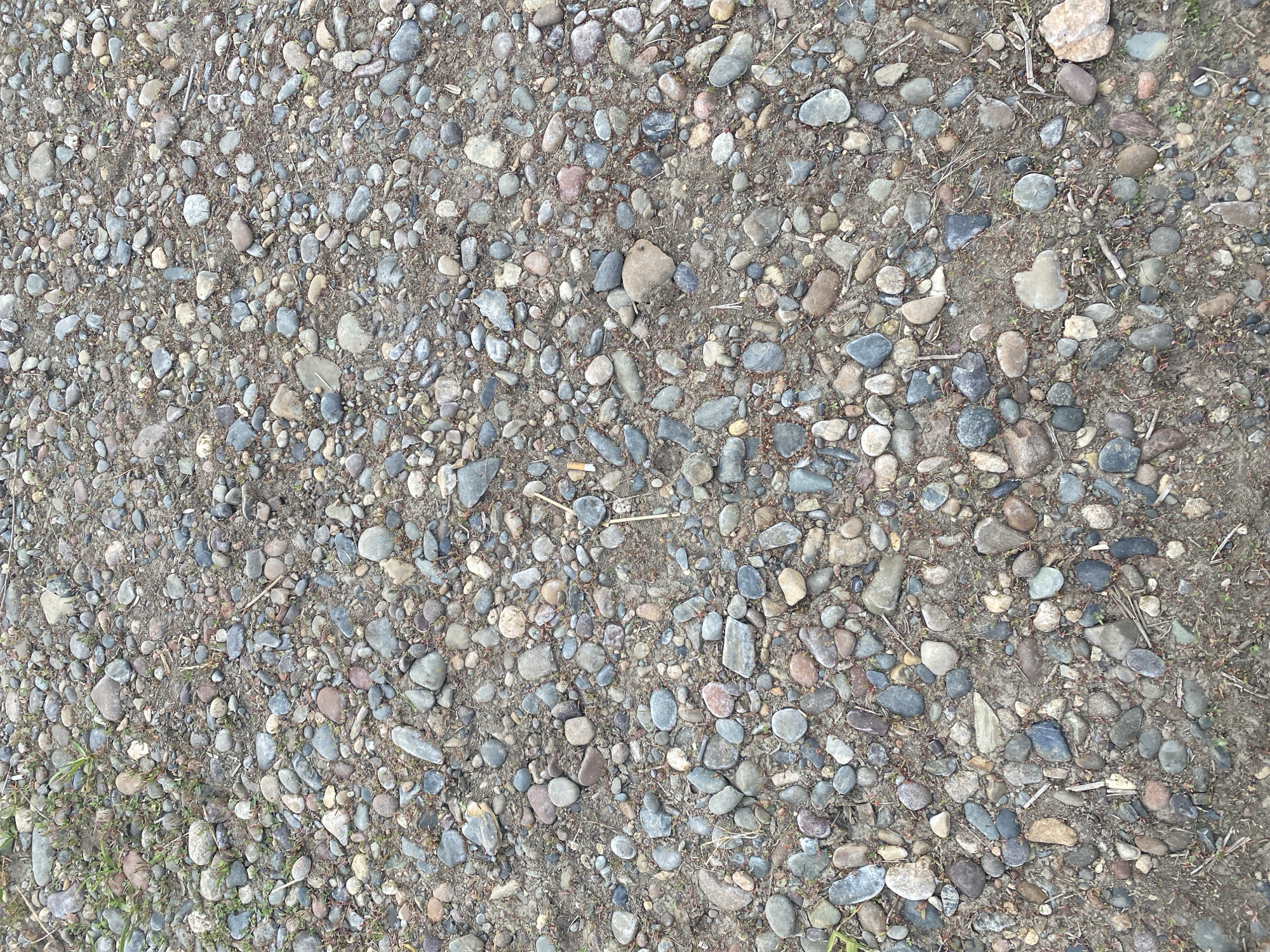 The image depicts a close-up, overhead view of a gravel path. The ground is covered with a dense arrangement of pebbles and small stones in various shades of gray, brown, and tan. Some sparse green grass and dry vegetation are interspersed among the stones. The scene appears to be an outdoor environment. There are no people or animals visible in the image. The specific location in Ust-Abakan, Russia, is not discernible from the visual information provided.