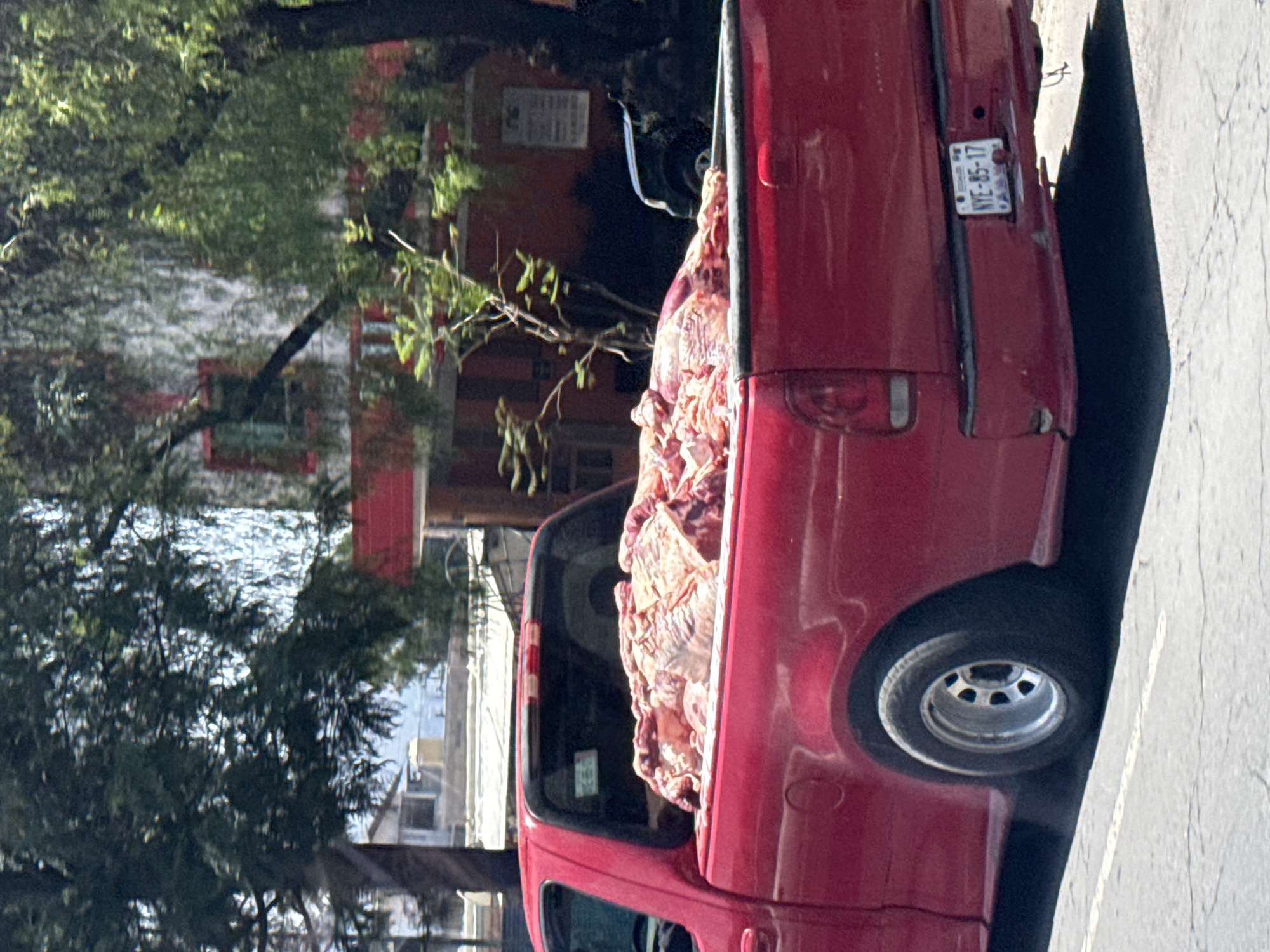 A red pickup truck is parked on a street. Its bed is filled with raw meat. The license plate on the truck reads "NVE-85-17." Trees and buildings are visible in the background. Based on the license plate, the location is likely Mexico City, Mexico.