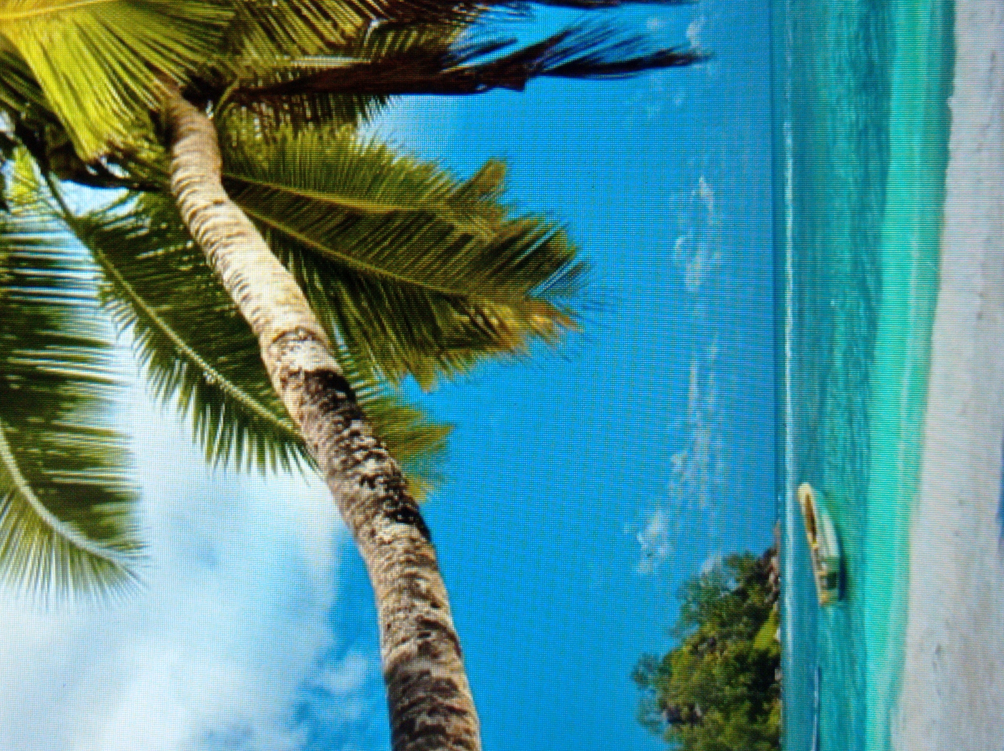 The image depicts a tropical beach scene. A palm tree trunk arches across the upper portion of the frame, with its fronds extending into a bright blue sky dotted with clouds. In the distance, a lush green island is visible. The turquoise water transitions to white sand in the foreground. A small, light-colored boat floats on the water near the island. The scene is serene and idyllic. This image is not related to the city of Mukachevo, Ukraine, as it portrays a tropical environment not found in that region.