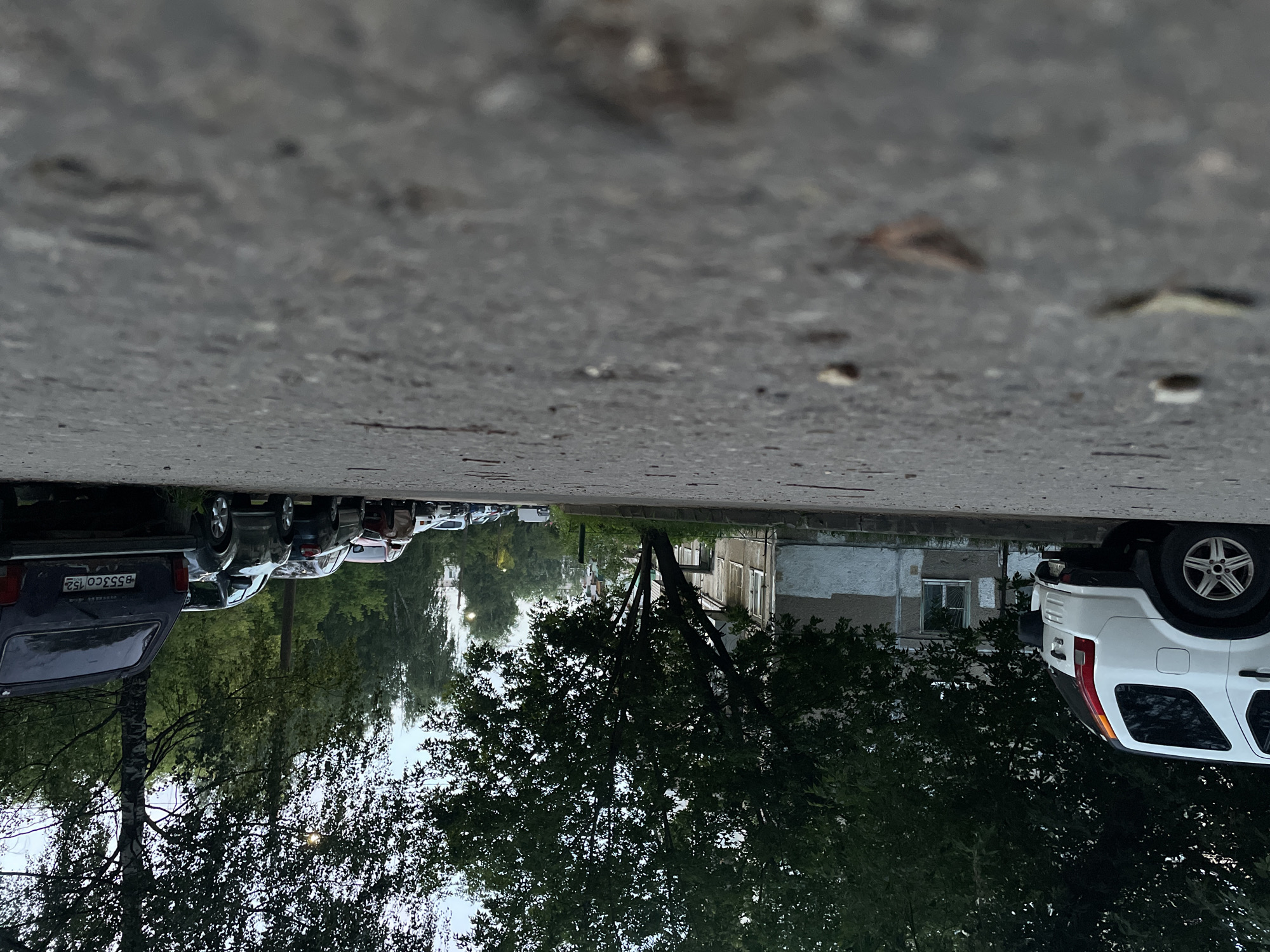 A low-angle, wide shot captures a row of parked cars along a paved street in the city of Kstovo, Russia. The foreground is dominated by the rough texture of the asphalt, with small pebbles and debris scattered across it. In the middle ground, a white SUV is parked on the left, its rear facing the camera. Beyond the SUV, a multi-story building with a light-colored facade and dark windows is visible, partially obscured by dense green foliage from trees that line the street. Further down the street, a line of various cars, including a dark SUV with a visible license plate reading "B553CO 152", are parked parallel to the curb. The background features a dense canopy of mature trees, suggesting a residential area with significant greenery. The sky is overcast, contributing to a soft, diffused light that indicates either early morning or late evening. No individuals are present in the scene.