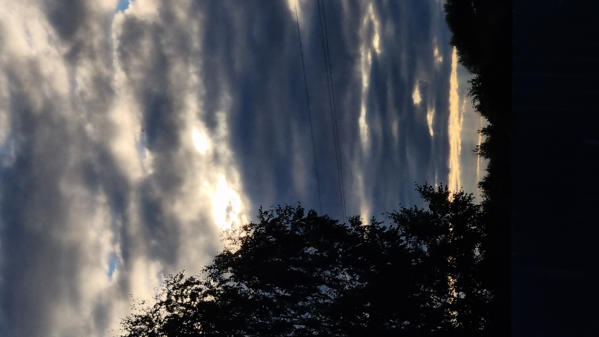 The image depicts a silhouetted tree in the foreground, partially obscuring a cloudy sky with shafts of sunlight breaking through. In the middle ground, there are power lines stretched horizontally across the frame. The background features a dark treeline and what appears to be a dark, solid barrier, possibly a fence or wall, at the bottom of the image. The overall scene suggests an outdoor environment in the city of Vysokoe, Russia, likely captured during either sunrise or sunset due to the lighting conditions.