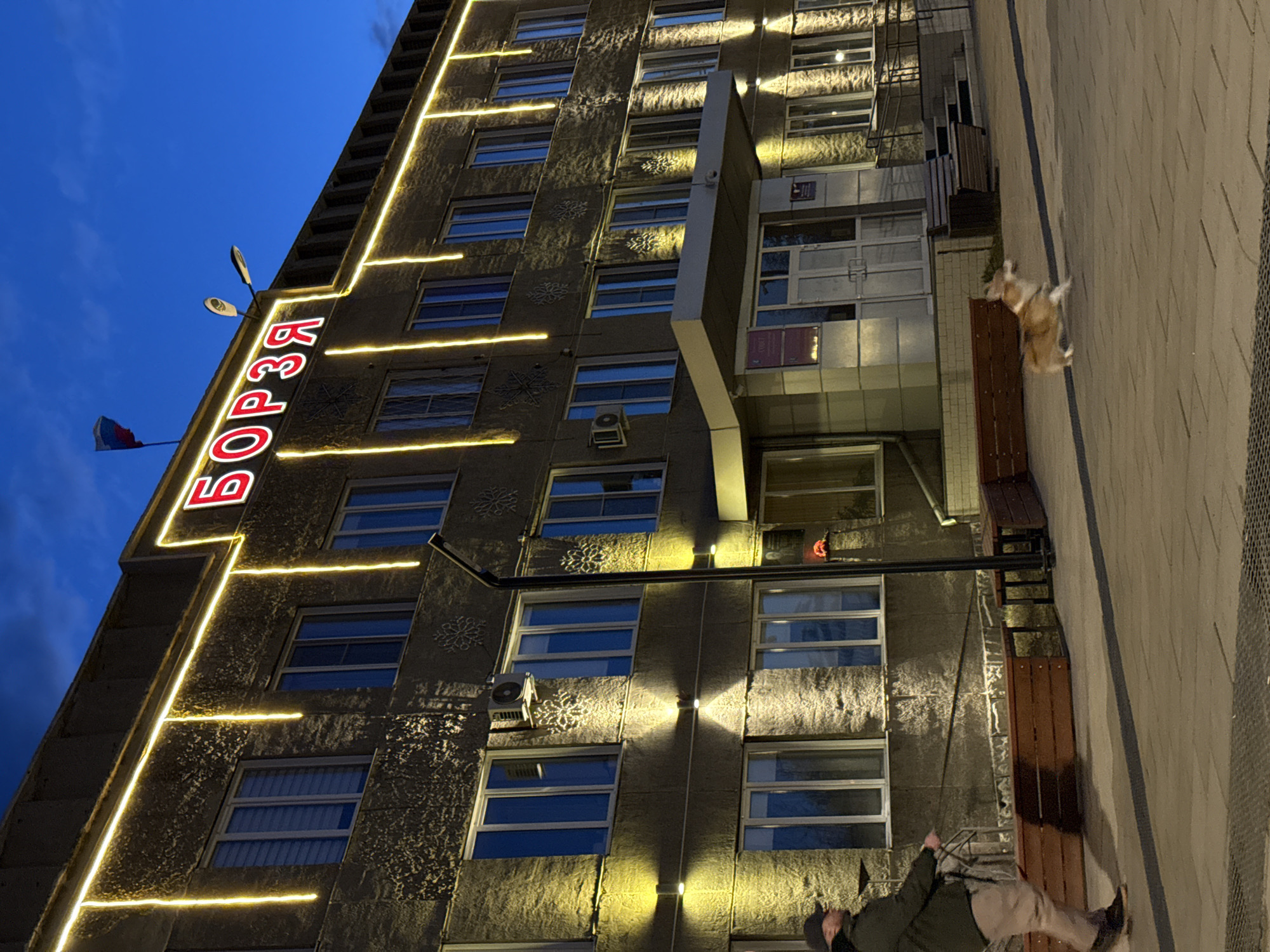 The image shows a building in Borzya, Russia, with a vertical sign in red Cyrillic letters reading "БОРЗЯ". The building is multi-storied and has rows of windows, each illuminated by individual lights. Decorative snowflake patterns are visible on the facade. A horizontal line of lights runs along the edge of the building. An awning covers the entrance, and there are benches alongside the building's wall. On the right side of the frame, a dog is in motion. A person sits on one of the benches. The sky is visible in the upper left corner.