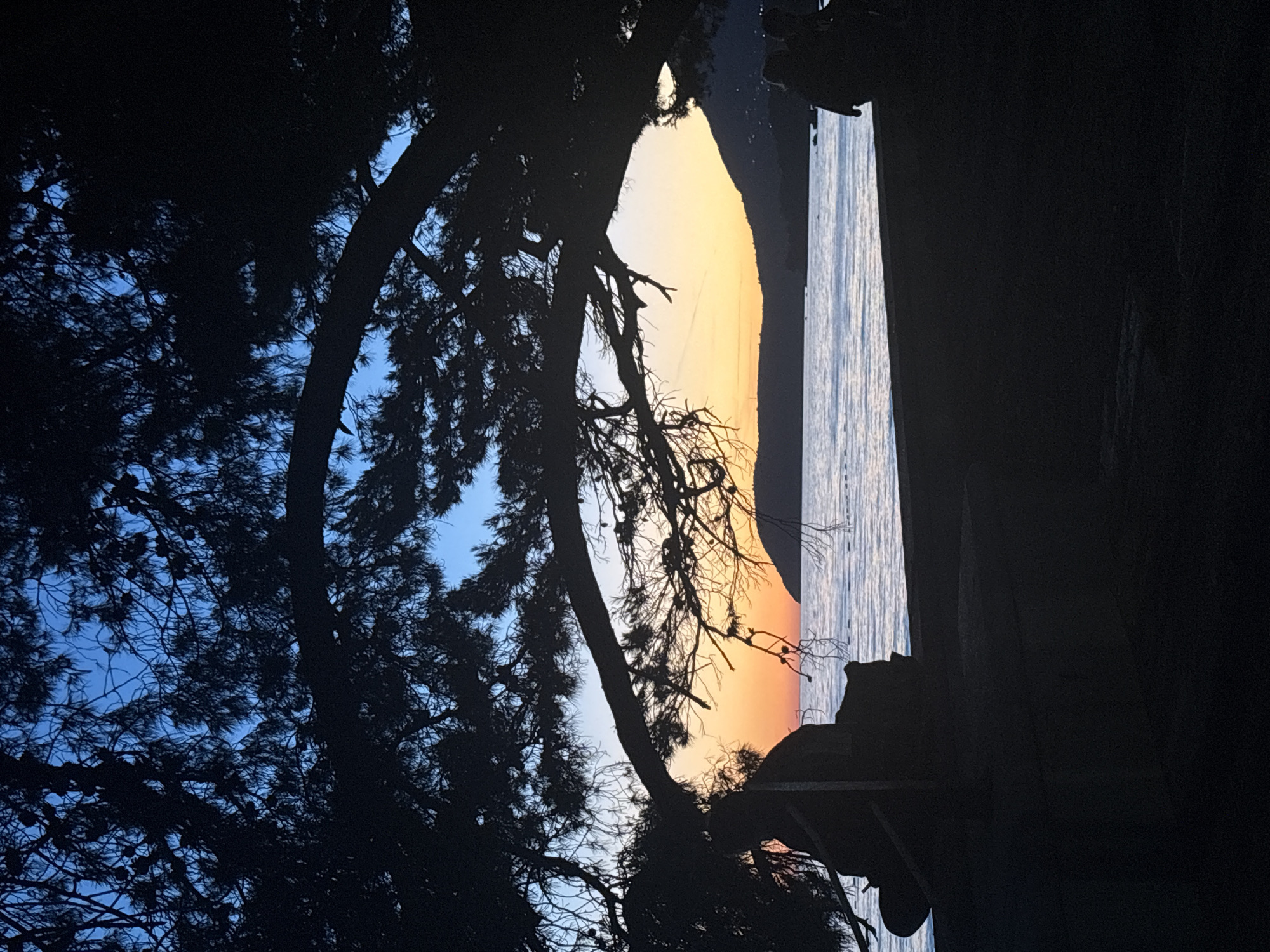 The image captures a view of a coastal scene at dusk or dawn, possibly in Bar, Montenegro. Silhouetted trees frame the view, with the sky transitioning from blue on the left to yellow and orange near the horizon. A body of water, presumably the Adriatic Sea, reflects the sky's colors. The right side of the frame is dominated by a dark, undefined structure, potentially a building or part of the landscape. The overall atmosphere is one of tranquility.