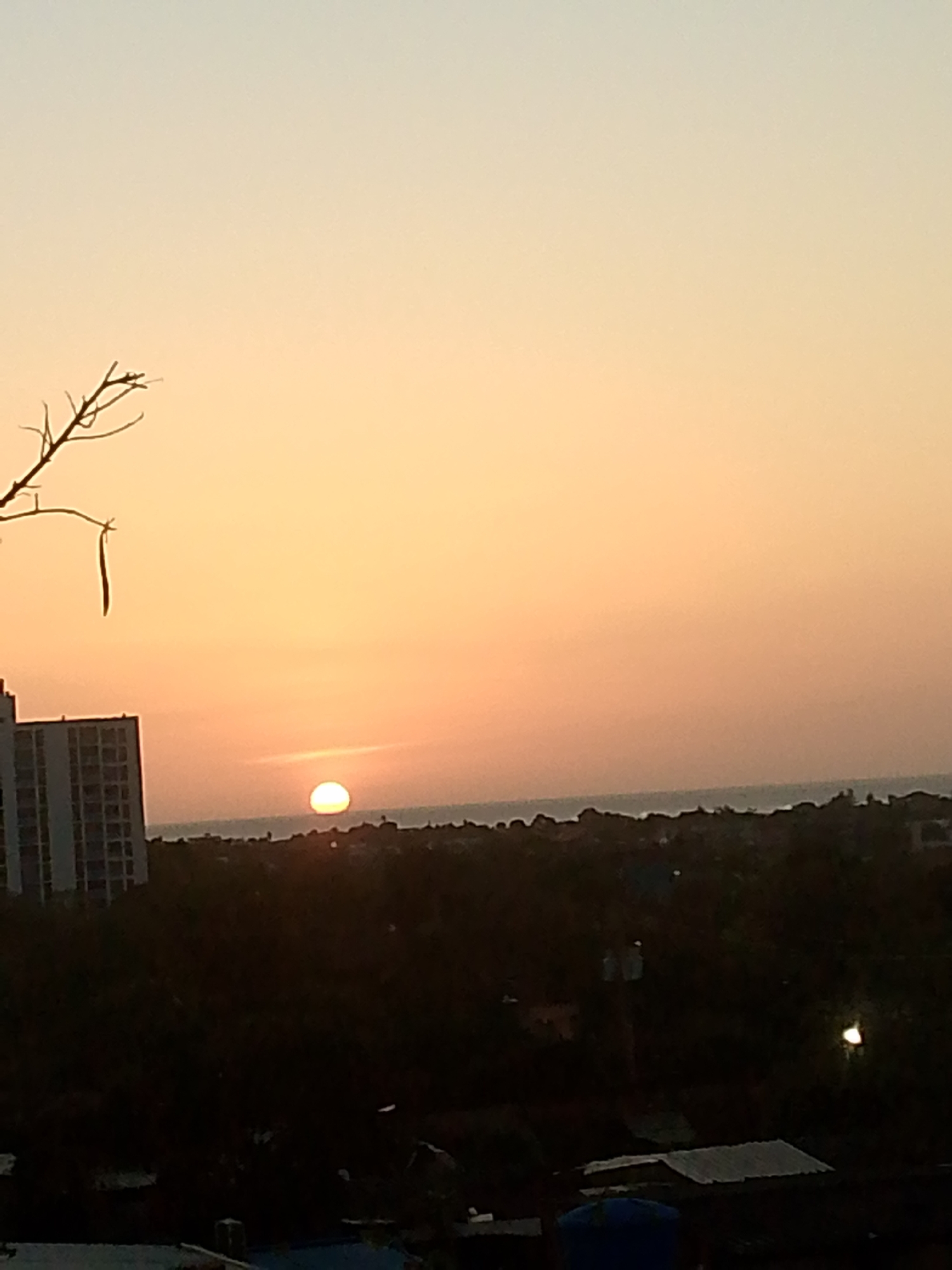 The image captures a sunset in what appears to be Juan Griego, Venezuela. The sun is setting over the ocean or a large body of water, visible on the horizon. In the foreground and mid-ground, there is a dense cluster of trees and buildings. A tall building is visible on the left. A bare tree branch is visible on the left side of the sky. The sky is a gradient of colors, transitioning from light orange near the horizon to lighter hues.
