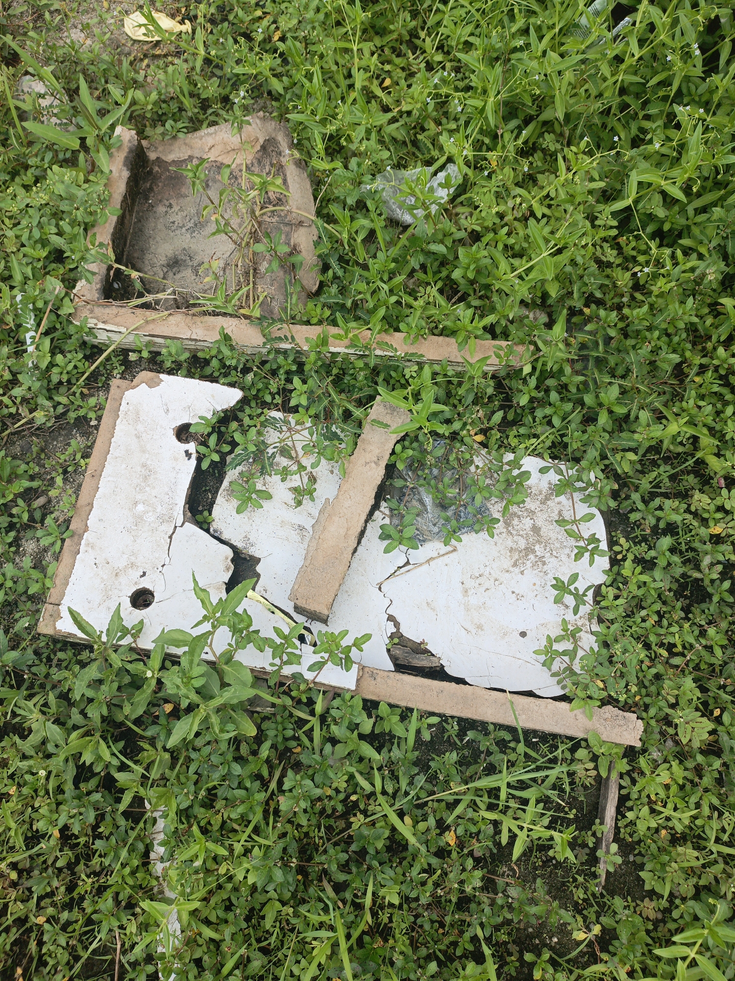 The scene shows debris scattered in a grassy area. The debris consists of broken white panels framed with wood, lying amongst dense green vegetation. A separate, rough-hewn, box-like object sits adjacent to the panel fragments. The location is not specified in the image. The image contains no people.