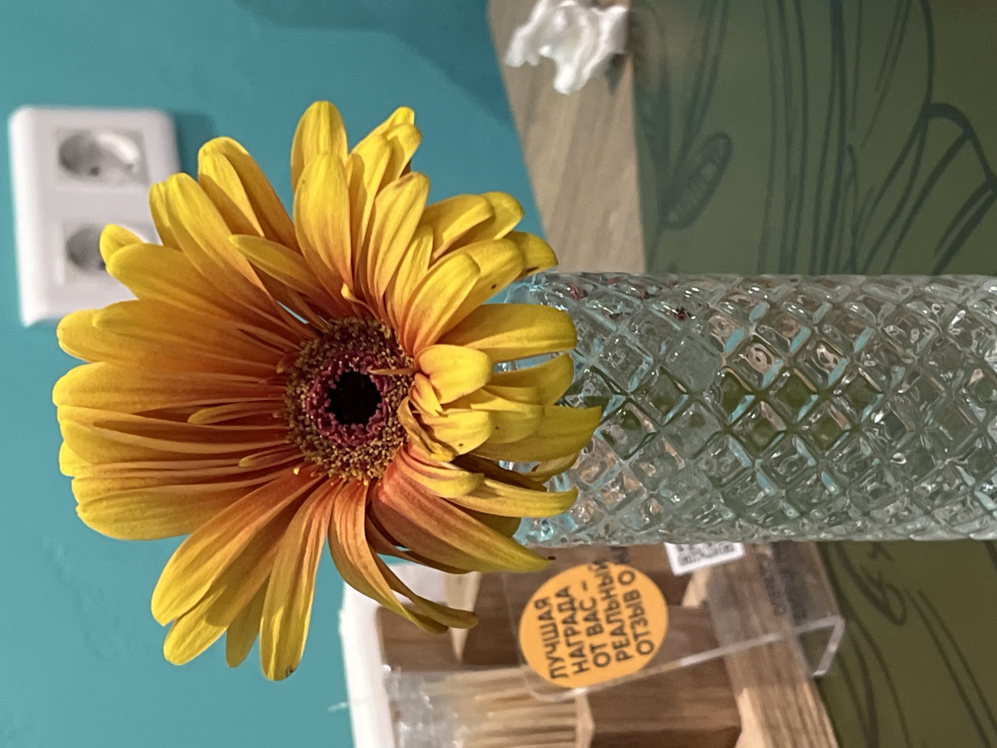 A close-up shot focuses on a vibrant yellow and orange gerbera daisy in a clear, textured glass vase. The flower's petals are wide and prominent, with a dark center. Behind the flower, a turquoise wall is visible, with a white electrical outlet mounted on it. To the left of the flower, a circular orange sticker with Russian text reads "ЛУЧШАЯ НАГРАДА ОТ ВАС - РЕАЛЬНЫЙ ОТЗЫВ О" which translates to "The best reward from you is a real review of." The sticker is attached to a clear plastic stand, behind which a wooden box holding toothpicks is visible. The table surface in front of the vase is dark green with a subtle pattern. The scene appears to be indoors, possibly in a cafe or shop, given the presence of the electrical outlet, sticker, and the overall presentation. The lighting suggests it is daytime. There are no people visible in the image. The location of Moscow, Russia is not explicitly indicated in the image itself, but can be inferred from the Russian text.