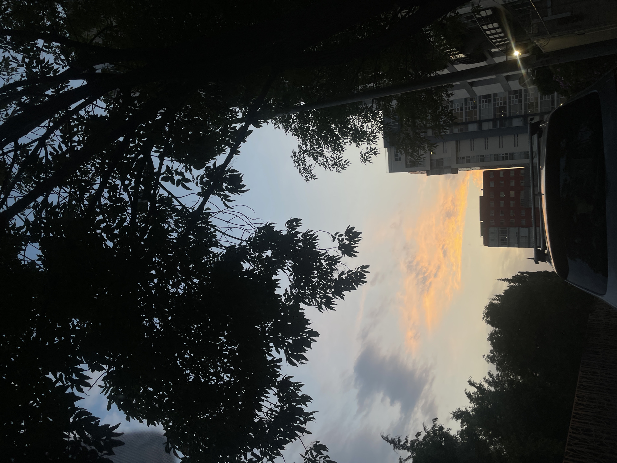 The image depicts an upward view framed by tree branches and leaves, silhouetted against the sky. The sky is a gradient of colors, transitioning from a light blue to a warm, golden hue near the horizon, with scattered clouds. Tall buildings are visible on the right side of the frame, including a modern white building and a shorter red brick building. A portion of a vehicle's side is visible on the right edge. A street light is also visible above the taller building. The image likely represents an evening or early morning scene. There are no indications in the provided picture about a specific location in Puebla, Mexico, or any people or interactions.