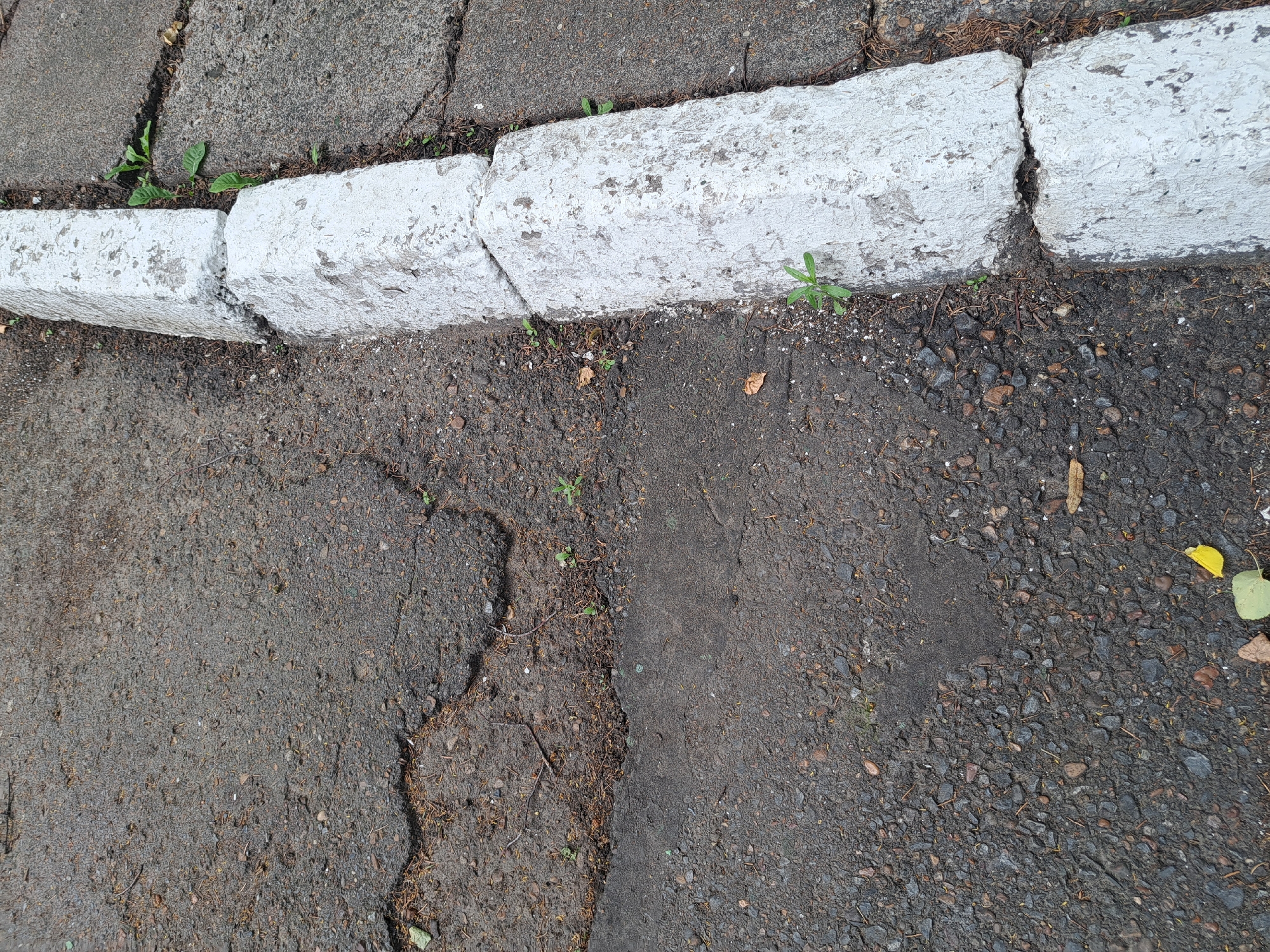 The image depicts a section of cracked asphalt with a white-painted concrete curb. The asphalt surface is weathered and shows signs of wear, with various small stones and debris embedded in it. A few small green sprouts are growing in the cracks and alongside the curb. The curb itself appears to be made of several rectangular concrete blocks, the top one of which is chipped and weathered, revealing a gray interior. The scene suggests an outdoor urban environment, possibly a sidewalk or roadside area in Ufa, Russia, given the context provided. There are no people or active events visible in the image.