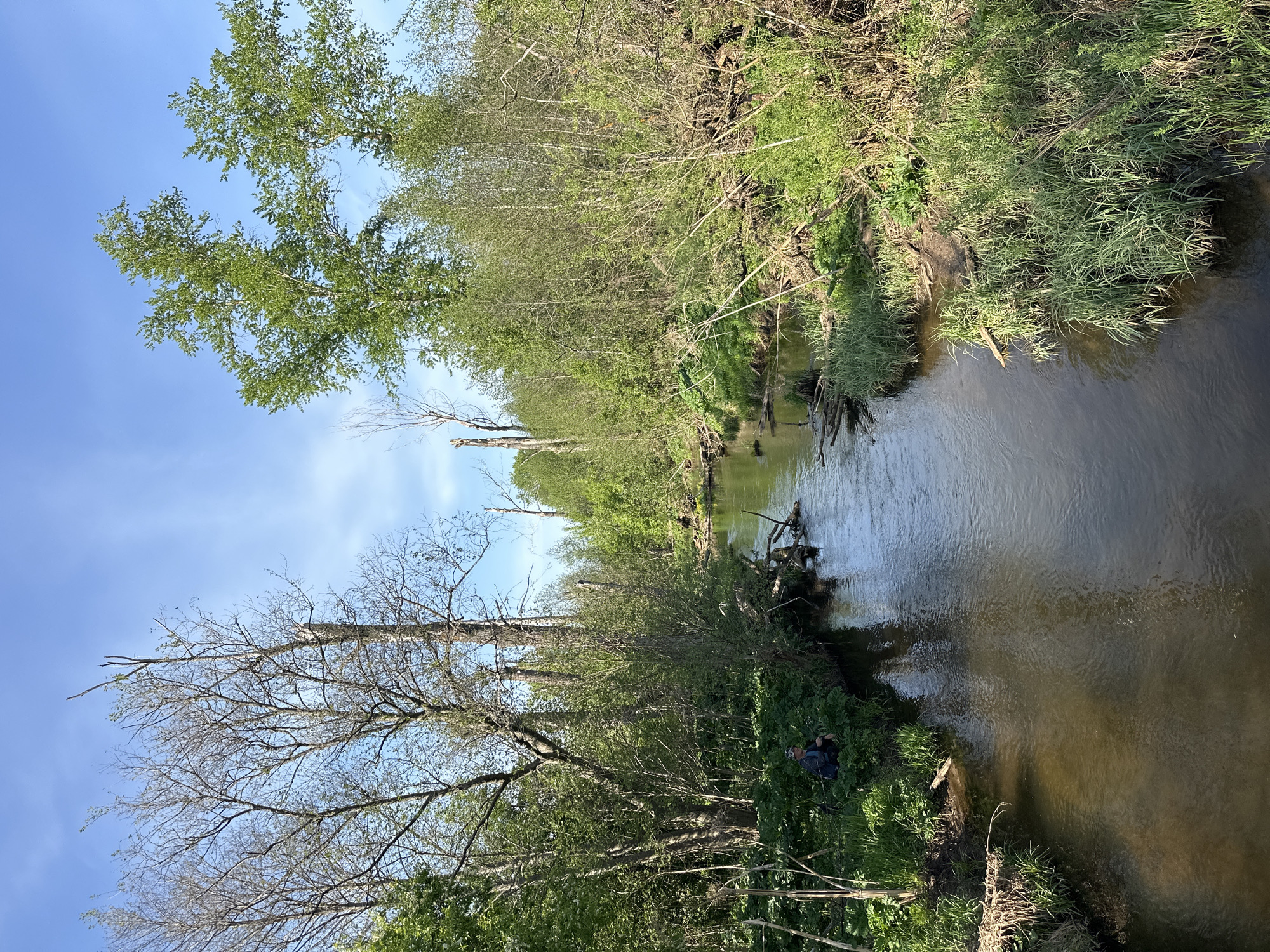 The image depicts a small river or stream in a wooded area of Альняш, Russia. The water is brown and slightly reflective. Both sides of the riverbank are covered in lush vegetation, including trees, shrubs, and tall grasses. A person wearing dark clothing and a backpack is sitting or lying in the grass near the trees on the left bank. The sky is blue with some scattered clouds. Some trees have bare branches.