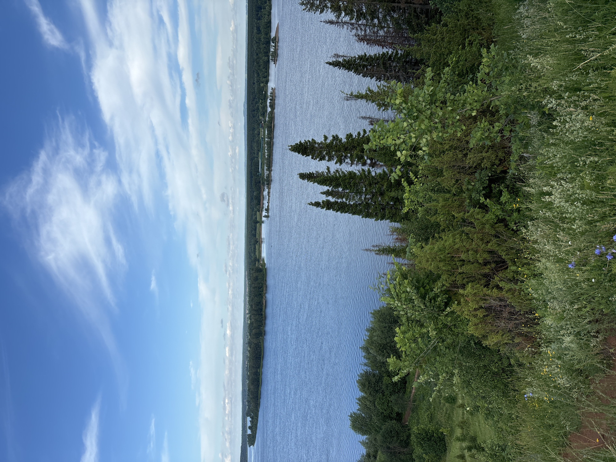 A wide, blue river dominates the middle ground of the image, reflecting a bright, partly cloudy sky. The river is bordered by a dark green, dense forest on the far bank, with hints of buildings visible in the distance. In the foreground, a steep, grassy slope is covered in wild flowers and various green bushes and trees, including tall, slender evergreens and more rounded deciduous trees. The overall impression is a natural, serene landscape. This scene is located in the city of Olkhovka, Russia.