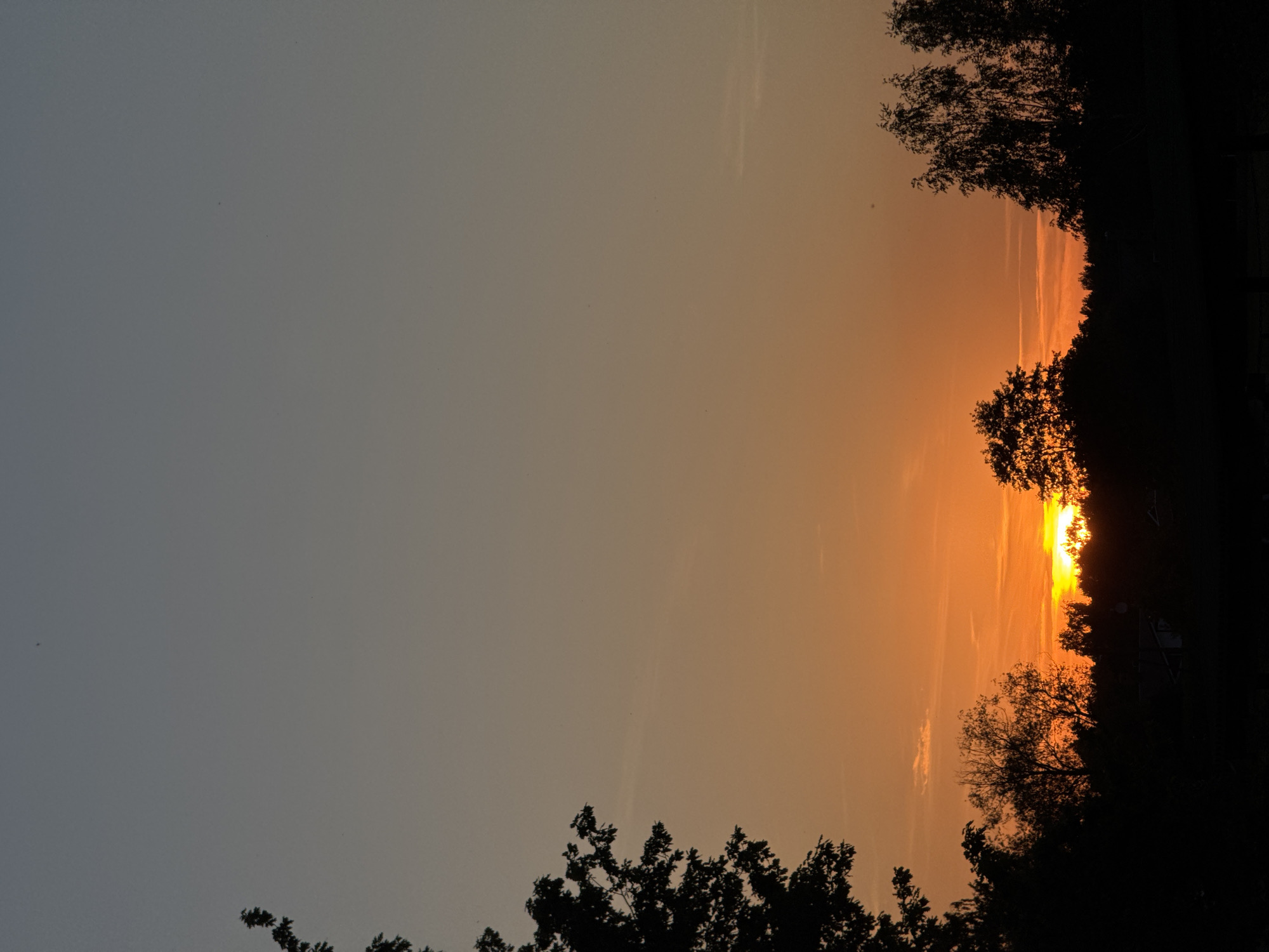The image captures a vibrant sunset over a treelined horizon. The sky is the dominant feature, displaying a striking gradient of colors that transitions from a muted blue-grey on the left to brilliant oranges and yellows on the right. The setting sun is a bright, intense orange glow, positioned towards the right side of the frame, partially obscured by the dark silhouettes of dense trees. These trees form a jagged horizon line across the bottom and extend upwards along the right edge of the image, showcasing intricate branches and foliage against the illuminated sky. Additional smaller tree clusters in silhouette are visible in the bottom-left corner. Faint, linear cloud formations, possibly contrails, are discernible in the orange portion of the sky. The scene captures the tranquility of late evening as the day concludes. No people or visible text are present.