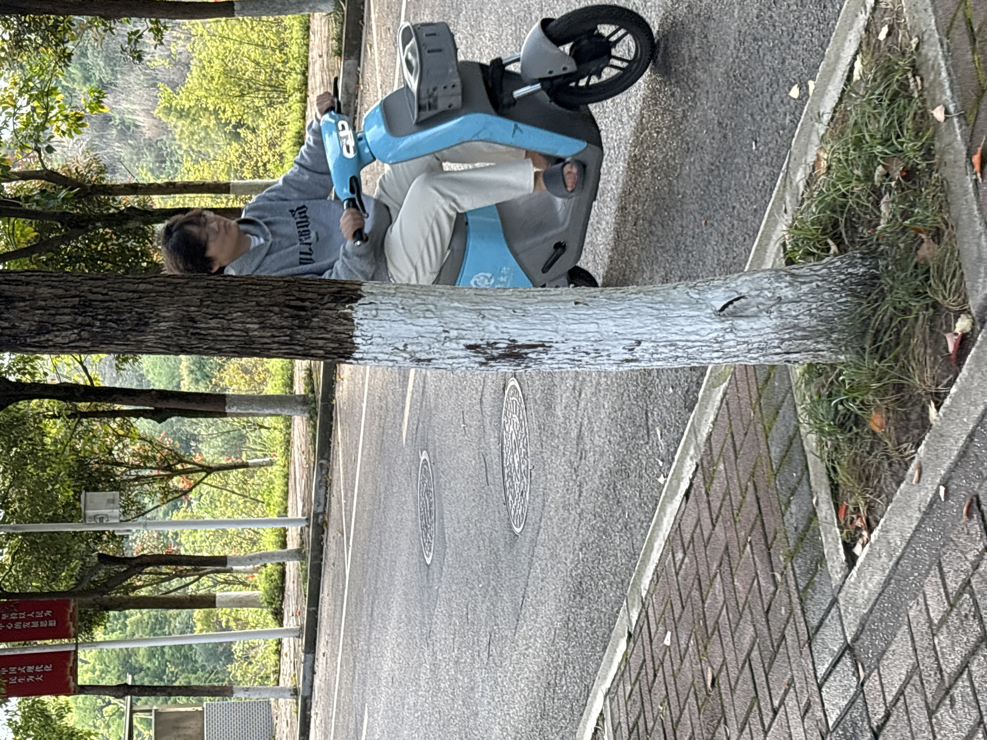 A young person is seated on a light blue electric scooter parked on an asphalt road. The person is wearing a gray sweatshirt with the word "VERSUS" printed on it and white pants. A tree trunk, painted white at the bottom, partially obscures the view of the scooter and the person. The road is lined with trees, and in the background, there's a green, leafy area. A red sign with white text, partially obscured, reads, "堅持以人民为中心的发展思想,中国式现代化,民生为大" which translates to "Adhere to the people-centered development thought, Chinese-style modernization, people's livelihood is paramount." This sign suggests the location is in China, specifically in the city of Jiangjin. The setting is a public space, likely a park or a roadside area in Jiangjin, China.