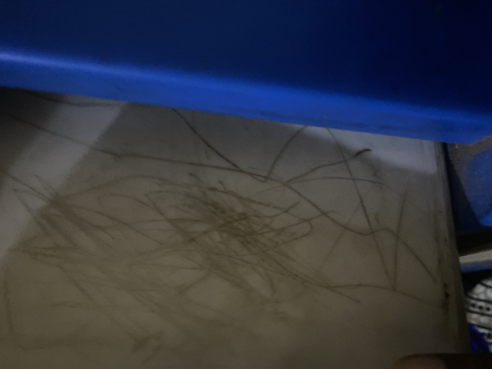 The image shows a surface covered in what appears to be hair or thin fibers. The surface is underneath a blue object, possibly a piece of furniture. Part of another object with a patterned design is visible in the lower right corner. The lighting is dim and the scene is out of focus. No people, actions, or interactions are visible. The location in Gombe, Nigeria is unknown and cannot be determined from the image.