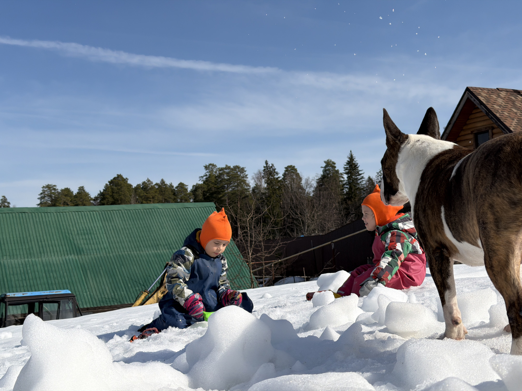 Two children wearing orange hats and winter clothing are sitting in the snow on what appears to be a rooftop or elevated surface in Chaikovsky, Russia. A dog stands nearby. In the background are several buildings, some trees, and a blue sky with wispy clouds. A vehicle is parked in front of one of the buildings. Snowflakes appear to be in the air.