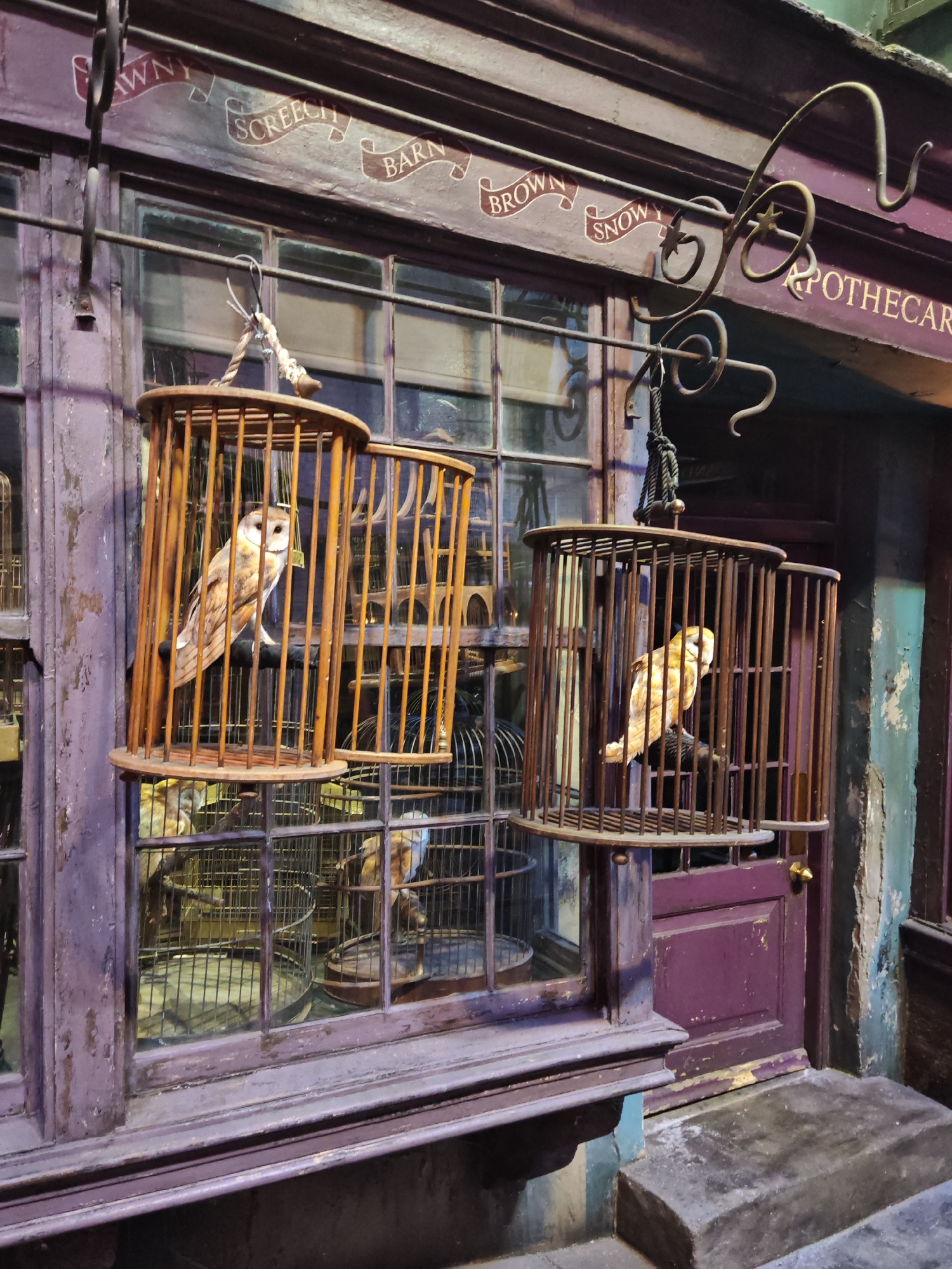 The image shows the exterior of "Eeylops Owl Emporium" at the Warner Bros. Studio Tour London in Watford, United Kingdom. Two wooden birdcages containing mechanical owls are suspended from an ornate metal bracket and rope, displayed in the shop window. The window frame and building facade are painted in a weathered purple hue. The shop sign above the window lists different owl types, including "Tawny, Screech, Barn, Brown, Snowy". A weathered purple door is visible to the right of the window. A concrete step is located at the base of the building.