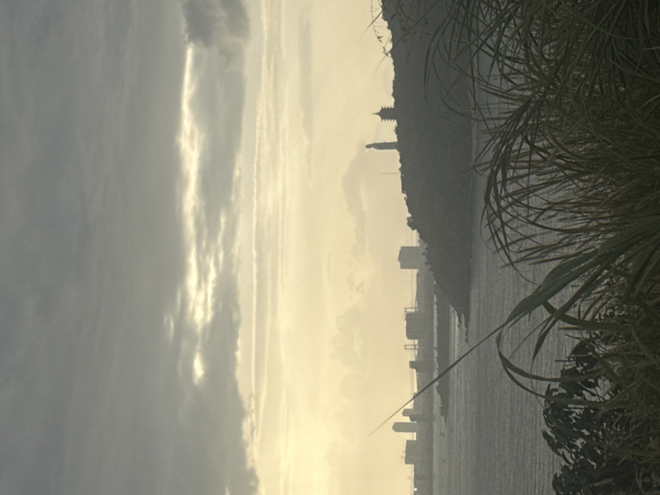 The image captures a panoramic coastal scene in Sơn Trà Ward, Vietnam, under a bright, overcast sky. The foreground features dense, dark green and brown-toned grasses and leafy vegetation, silhouetted against the brighter background. A body of dark, choppy water, likely a bay or ocean, occupies the lower midground. A prominent, dark, tree-covered hill or peninsula extends from the right, jutting into the water. Atop this hill, two distinct subjects are visible as dark silhouettes: a very tall, slender standing statue, identifiable as the Lady Buddha, and to its right, a multi-tiered pagoda structure. A thin pole or antenna is also visible to the left of the statue. In the distant background, across the water on the left, a city skyline is silhouetted, comprising multiple high-rise buildings and a large suspension or cable-stayed bridge. The sky, which dominates the upper portion, is heavily clouded with a bright, warm yellow-white glow at the horizon, indicating strong backlighting, possibly from a sunrise or sunset.