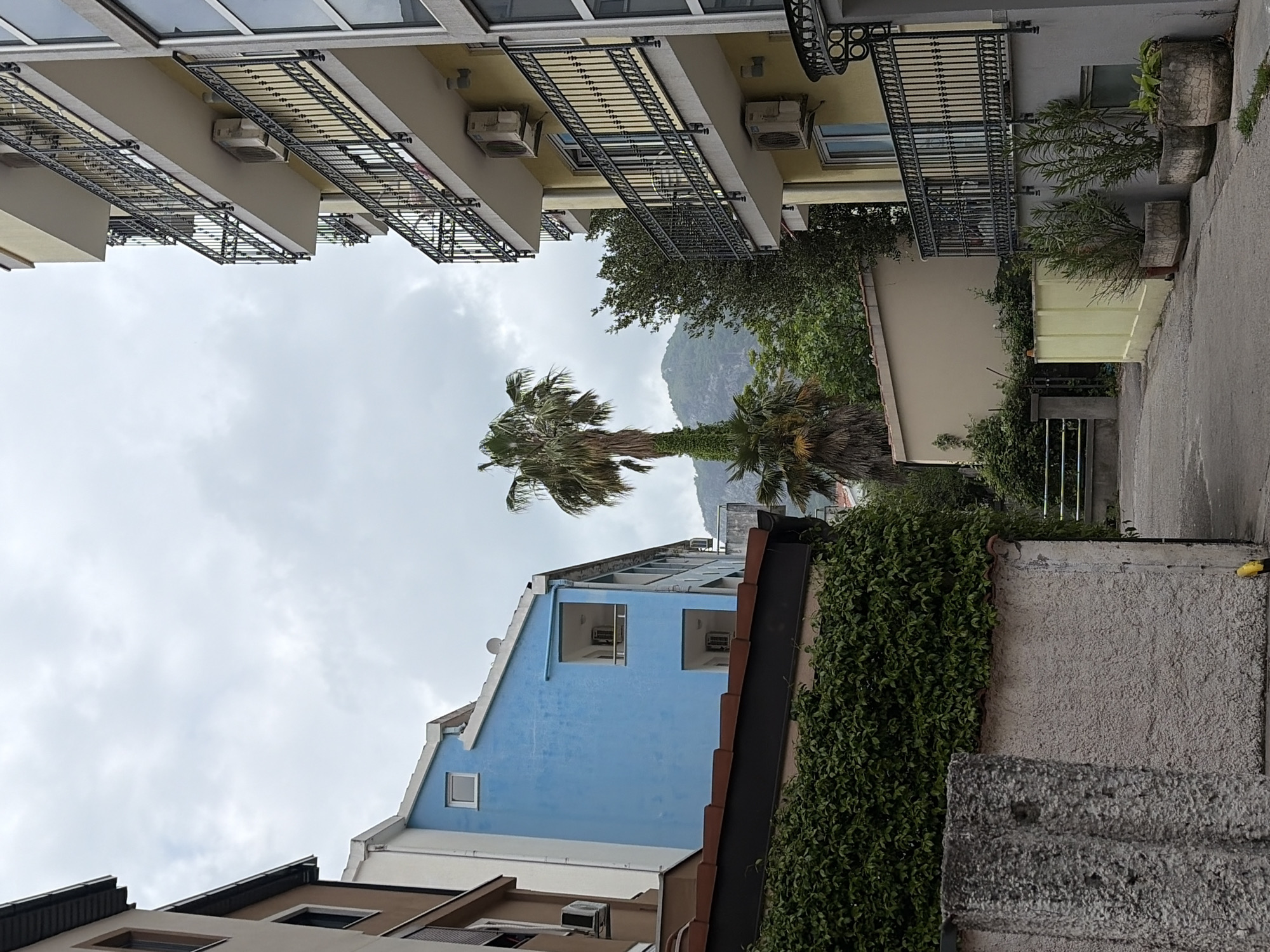 This image captures a street view in what appears to be a coastal town, under an overcast sky. The scene is predominantly architectural, featuring multiple buildings interspersed with dense vegetation and a mountain backdrop.
To the left, a multi-story building with light beige or yellow facades dominates, featuring numerous balconies adorned with ornate black metal railings. Air conditioning units are visible beneath several balconies.
In the center of the frame, a tall palm tree stands prominently, its fronds reaching towards the cloudy sky. Behind the palm tree and other green foliage, a range of mountains is visible in the distance, partially obscured by the hazy weather. The sky is uniformly overcast, indicating a cloudy daytime.
On the right side of the image, a striking blue building with white trim and an angled roof is visible, suggesting a distinct architectural style. Further right, a paved area, likely a street or alleyway, runs alongside a concrete wall densely covered in ivy or similar climbing plants. Potted plants, resembling oleanders, are also placed along this side.
There are no people or specific activities depicted, lending a quiet, still atmosphere to the scene. No discernible text is visible. The architecture, lush vegetation, and mountainous landscape are consistent with the provided location context of Budva, Montenegro, typical of an Adriatic coastal setting.