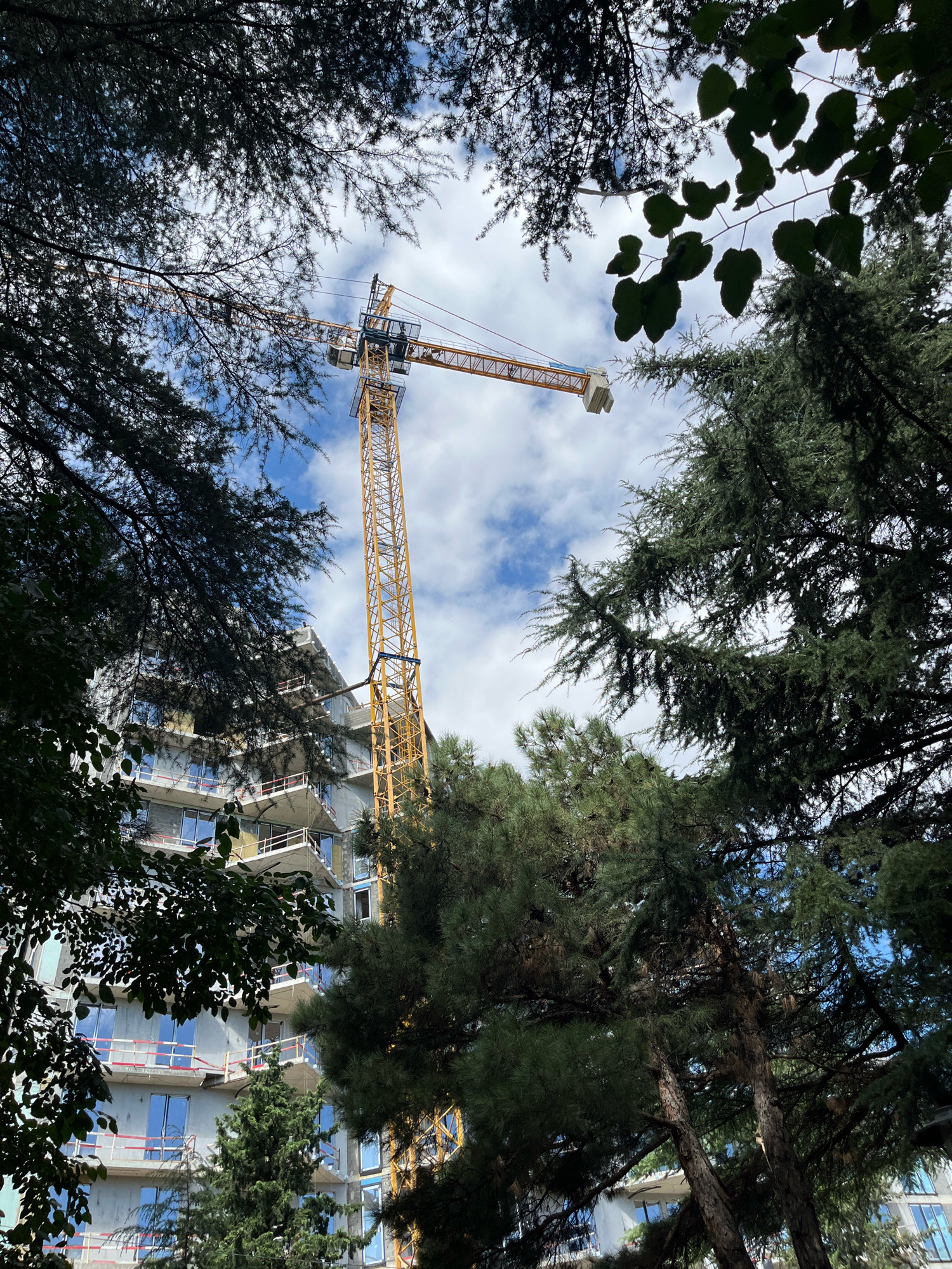 This image captures a construction site in Tbilisi, Georgia, partially obscured by the branches of trees. A prominent yellow tower crane is visible against a cloudy blue sky, its jib extending horizontally. To the left of the crane, a multi-story building under construction shows its concrete structure, with numerous windows framed by safety railings. The building's facade appears to be partially covered. Lush green trees, including pine trees and deciduous trees with dark leaves, frame the scene, creating a natural foreground and midground that contrasts with the urban development. The overall impression is a blend of nature and ongoing construction within the city.