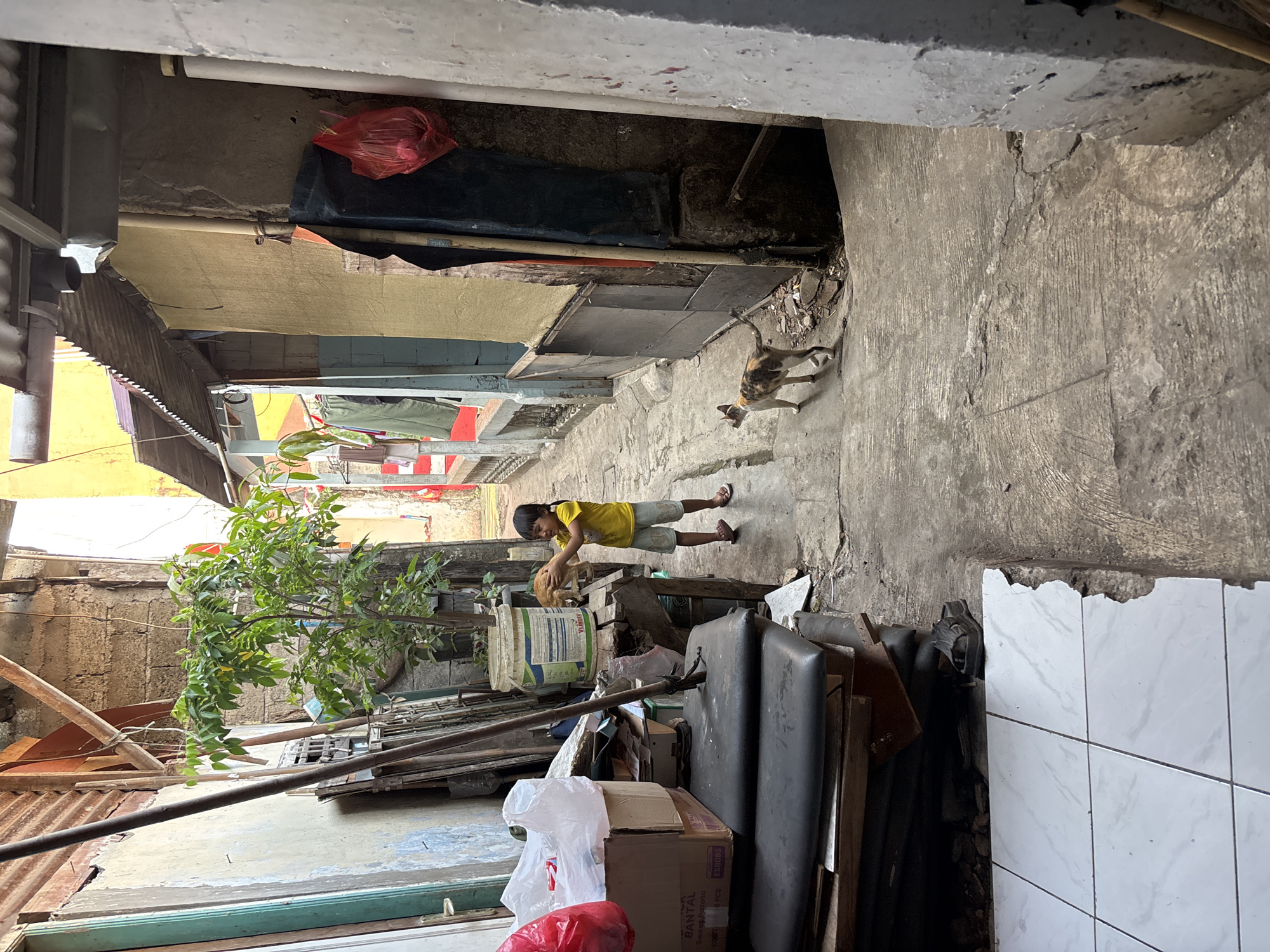 A narrow, worn alleyway in Bekasi, Indonesia, is depicted. A young child wearing a yellow t-shirt and light-colored shorts stands in the middle of the path, interacting with a ginger cat. The child is holding the cat's front paws. Further down the alley, another cat, this one calico, walks away from the viewer. The alley walls are constructed from a mixture of concrete blocks and corrugated metal, with some sections painted in faded yellow and light blue. Various objects are strewn about, including stacked black cushions, cardboard boxes, plastic bags, and a large white bucket. A small tree with green leaves grows in a pot on a wooden table. The ground is paved with cracked concrete, and a section of white tiled flooring is visible in the lower left corner. The scene suggests a lived-in, somewhat cluttered urban environment.