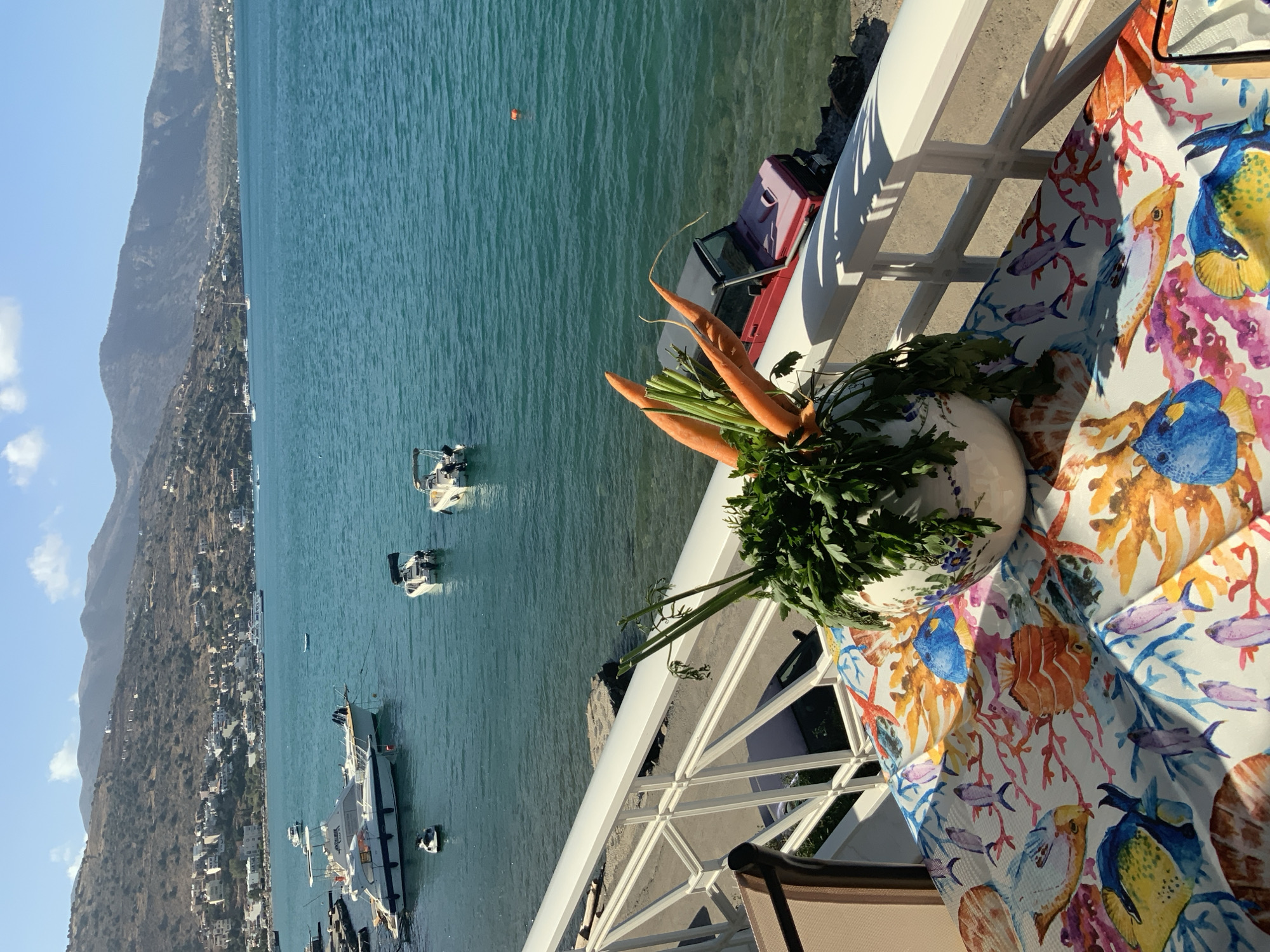 A waterfront view in Agios Nikolaos Municipal Unit, Greece, features a table adorned with a colorful marine-themed tablecloth and a vase of carrots and parsley. Beyond the railing, several boats are docked or cruising on the turquoise water. In the background, a town with white buildings cascades down a hilly landscape towards the sea. A red vehicle is partially submerged at the water's edge. The scene is bathed in sunlight under a clear blue sky.