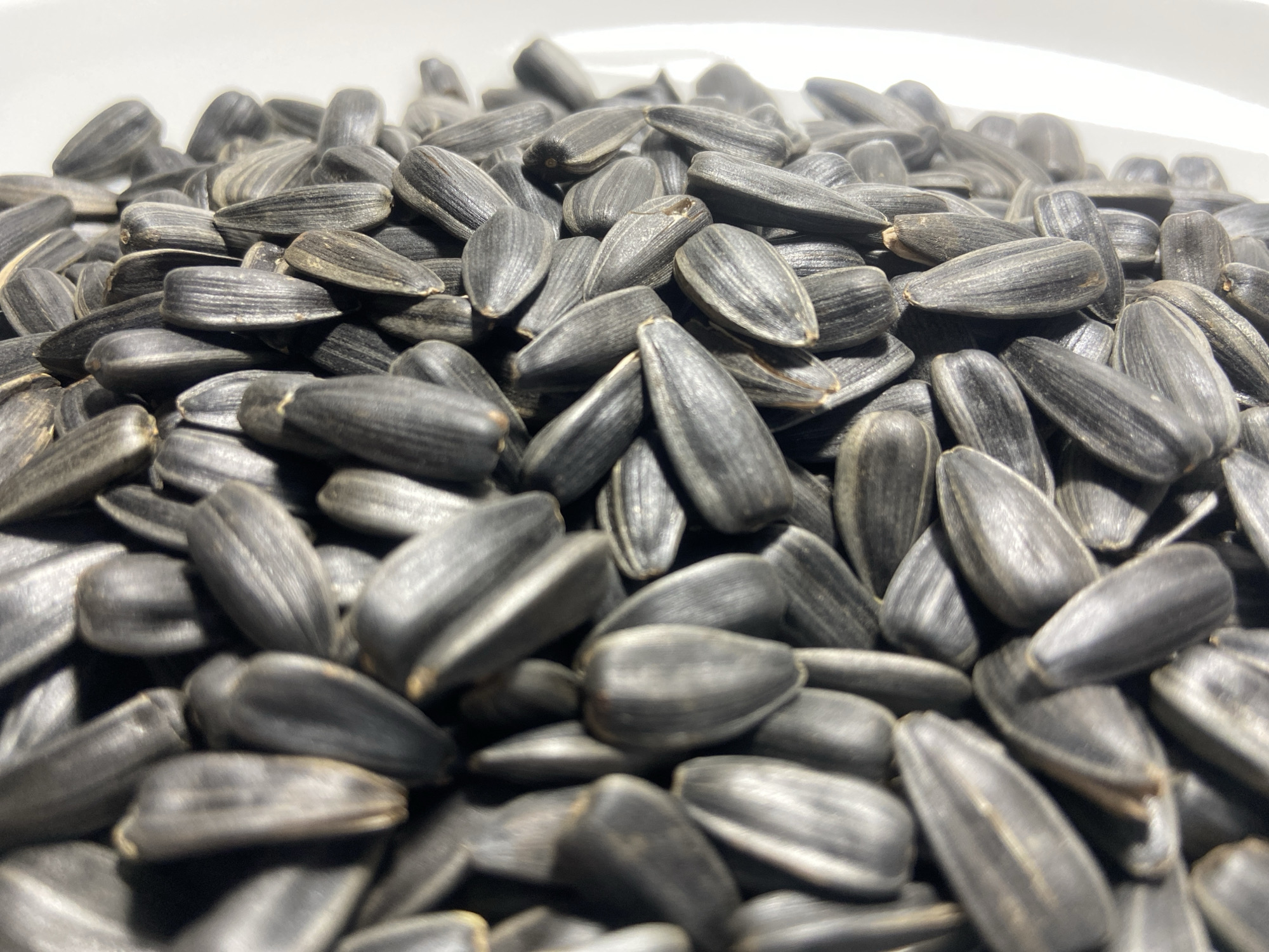 A large quantity of unprocessed sunflower seeds, still within their dark gray to black husks, is densely piled, occupying the majority of the frame. The seeds are elongated and ovoid with pointed ends, exhibiting subtle longitudinal striations and minor textural variations. Some individual shells display slight imperfections or chipping. The seeds are randomly oriented and tightly packed, forming a heap. The background is a uniformly bright white surface, suggesting the seeds are contained in a shallow, light-colored vessel or placed on a white surface. No people, discernible actions, or external environmental elements are present. The location of this scene in Budva, Montenegro, or any other specific geographical context, cannot be determined from the visual information provided.