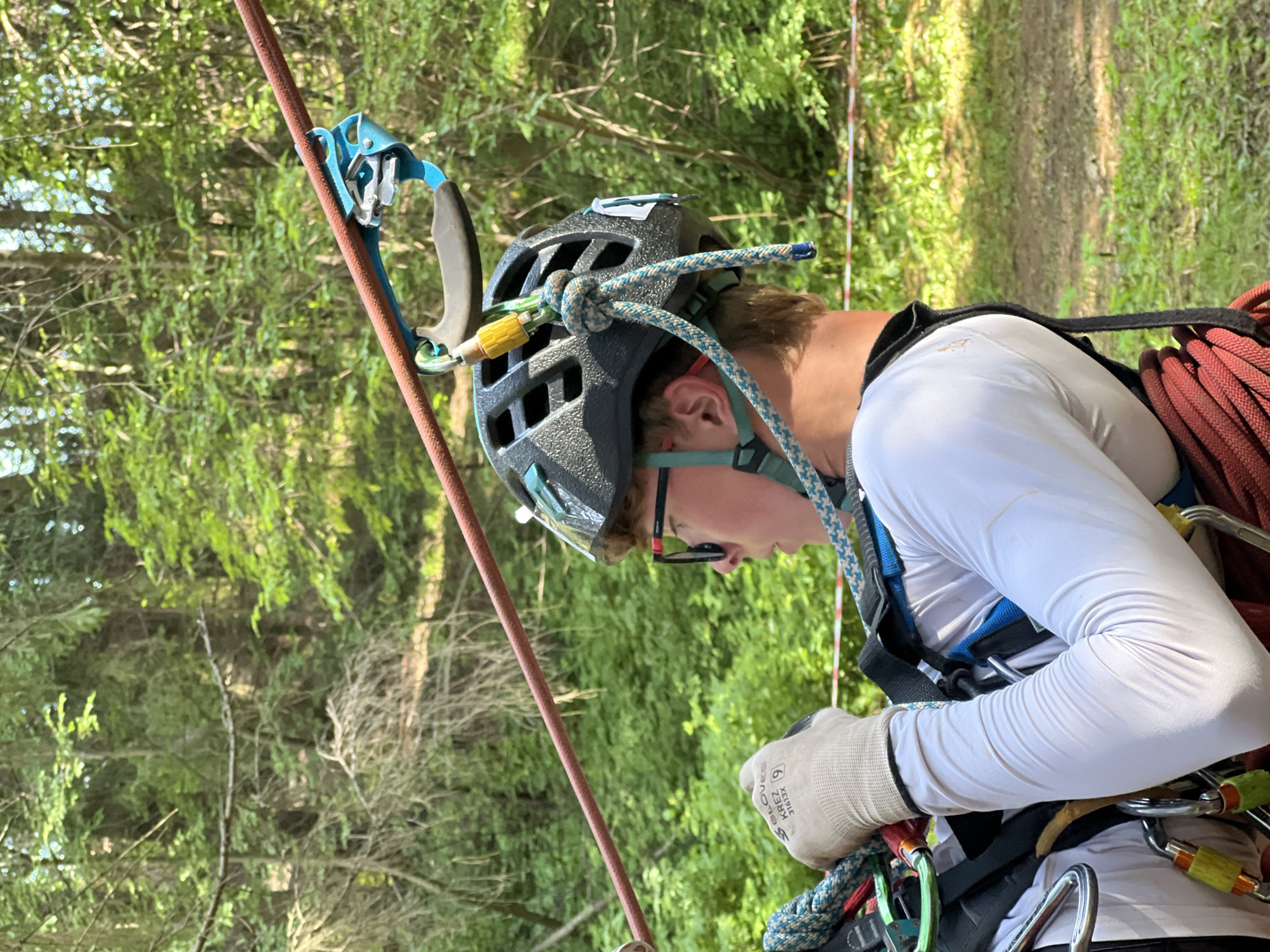 This media file captures a person engaged in an activity related to climbing or rappelling, set within a natural, wooded environment. The subject, wearing a black helmet, a white long-sleeved shirt, and a climbing harness, is seen from the chest up, angled to the right and looking downwards. They are also wearing safety glasses and a light-colored glove on their right hand. A thick red rope is coiled and attached to their harness, while a thinner blue and white rope is connected to their helmet, leading to a blue ascender device. Several carabiners are visible, attached to the harness. The background consists of lush green foliage and trees, suggesting an outdoor setting in a forest or woodland area. Sunlight filters through the leaves, indicating it is daytime. The overall mood appears focused and engaged in the activity. There is visible text on the glove that reads "GLOVES KRZ 31613X". The location context is provided as Сергино, Russia.