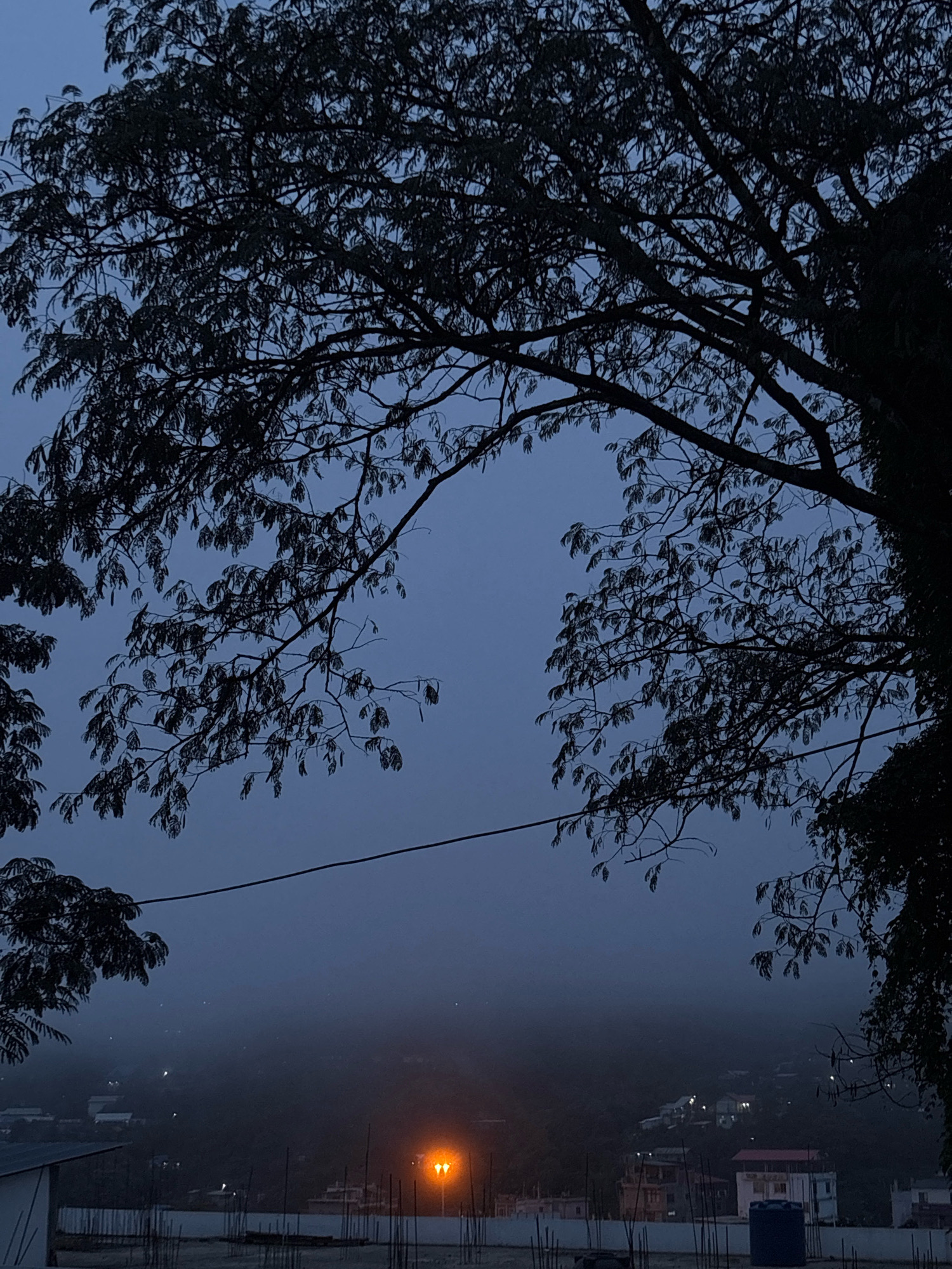 The image depicts a dusky scene in Senapati, India, characterized by a muted blue sky and a thick layer of fog obscuring the distant landscape. In the foreground, silhouetted against the sky, are the branches of a large tree, its leaves appearing dark and indistinct due to the low light. A power line stretches horizontally across the middle ground, further breaking up the view. Below the tree, the lights of the city are faintly visible through the fog, with a prominent orange street lamp illuminating a small area. The immediate foreground shows the top of buildings under construction, with concrete structures and rebar visible. A blue water tank is also present. The overall impression is one of quietude and the onset of night in a hilly or mountainous region, typical of Senapati.