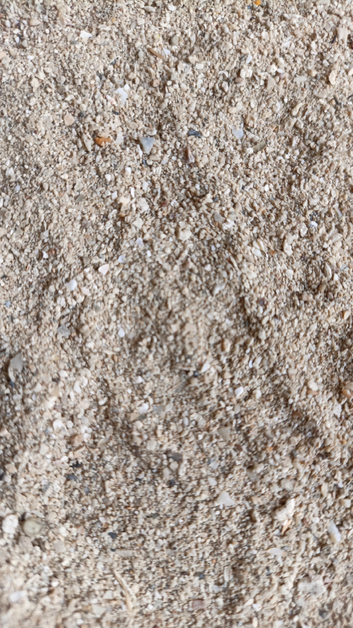 A close-up, overhead shot shows a textured surface of light brown sand mixed with tiny white and grey pebbles and shell fragments. The composition is evenly lit, and there are no discernible patterns or objects within the frame. The image is likely taken on a beach or sandy area in Cikal, Indonesia.