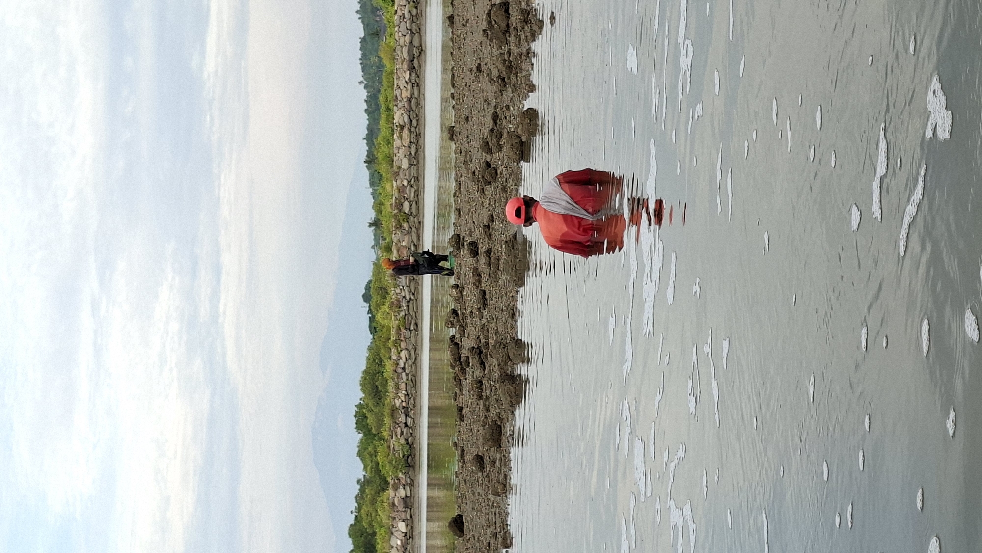 The image depicts a coastal scene in Lhokseumawe, Indonesia, likely near the Ujong Blang beach area. In the foreground, a person wearing a red shirt and an orange cap is partially submerged in shallow water, facing away from the camera. White foam floats on the surface of the water around them. In the middle ground, another person, dressed in darker clothing and an orange headscarf, stands on a muddy, rocky shore, holding a green bucket. Beyond them, a line of lush green trees and vegetation runs along the coastline, backed by a stone embankment. In the background, hazy mountains are visible under a cloudy sky. The overall environment suggests a low tide or shallow coastal area, possibly used for fishing or harvesting marine life.