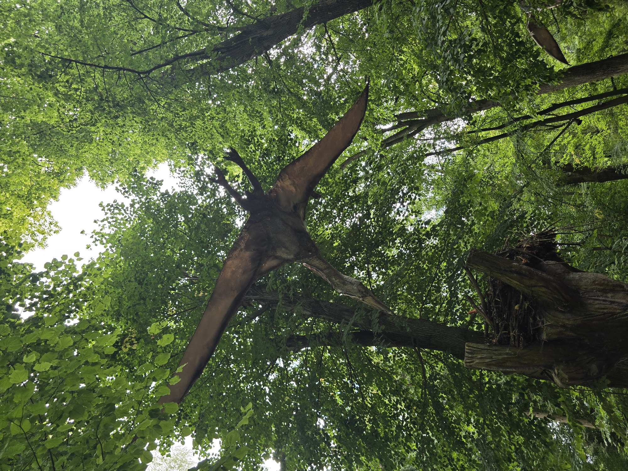 A low-angle shot depicts a Pterodactyl model suspended by wires against a backdrop of lush green trees. The Pterodactyl, brown and weathered, appears to be in mid-flight, its wings outstretched. To the lower left of the frame, a carved wooden tree stump resembles a stylized hand holding a nest made of twigs. The setting is a park, possibly a dinosaur-themed exhibit, in Vyškov, Czechia, as evidenced by the Pterodactyl model and the nest, suggesting an interpretation of prehistoric life. The foliage is dense, with sunlight filtering through the leaves, creating a dappled effect. The overall impression is one of an outdoor exhibit designed to evoke a sense of ancient nature.