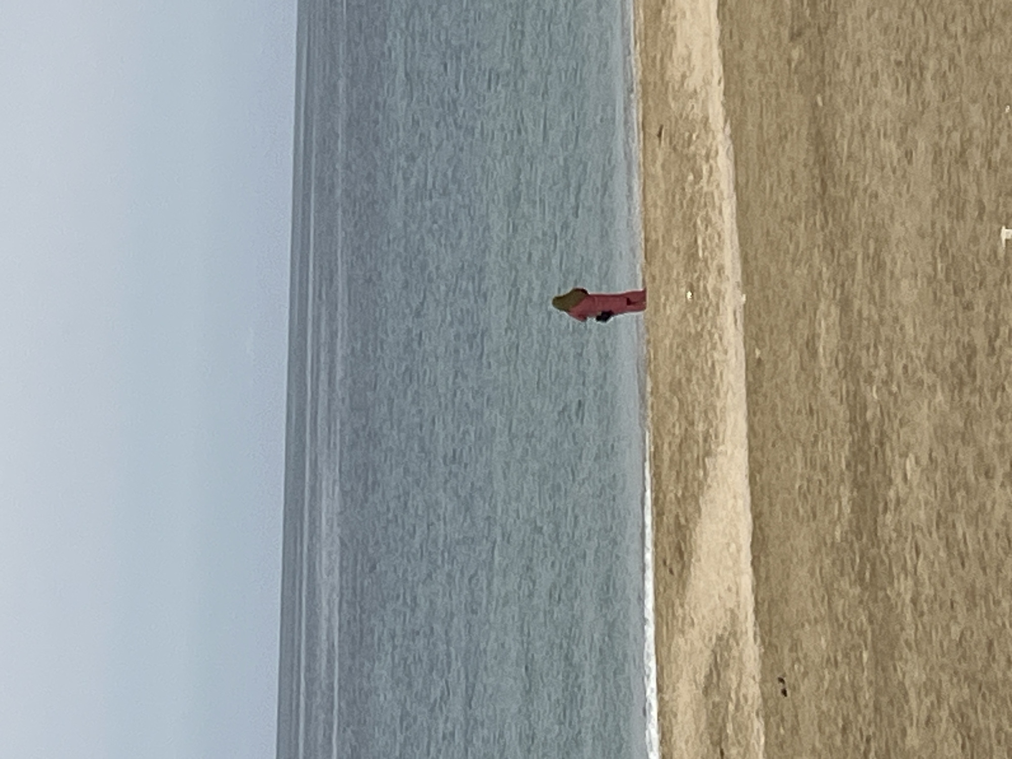 The image shows a coastal scene, likely a beach, next to the sea. A person in a red and green outfit stands on the beach near the water's edge. The sky is overcast, and the sand appears light brown. The location is potentially Alanya, Turkey, given the request, but the image itself doesn't offer specific landmarks to confirm. The focus is on the person on the beach against the backdrop of the sea and sky.