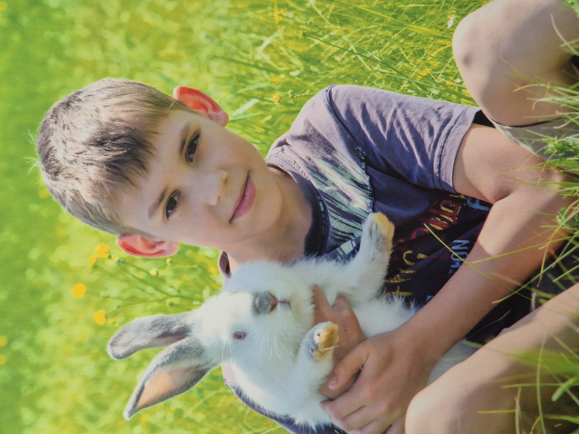 A young boy, with light brown hair and fair skin, is lying down in a field of green grass and yellow wildflowers. He is holding a fluffy white rabbit with grey and black markings on its ears and face. The rabbit's eyes are a striking red color. The boy is wearing a dark purple t-shirt with a graphic print. The image appears to be a photograph taken outdoors on a sunny day, suggested by the bright lighting and the vibrant green of the grass. The boy's expression is relaxed and content, and he is looking towards the camera with a gentle smile. The rabbit is nestled in his arms, suggesting a tender moment between the boy and his pet. The background is a blur of green and yellow, indicating a shallow depth of field that focuses attention on the boy and the rabbit. The overall mood of the image is peaceful and idyllic, evoking a sense of childhood innocence and connection with nature. There is text visible on the boy's t-shirt, but it is partially obscured and difficult to read clearly. The setting appears to be a meadow or a park, consistent with the provided location context of Schwäbisch Gmünd, Germany.