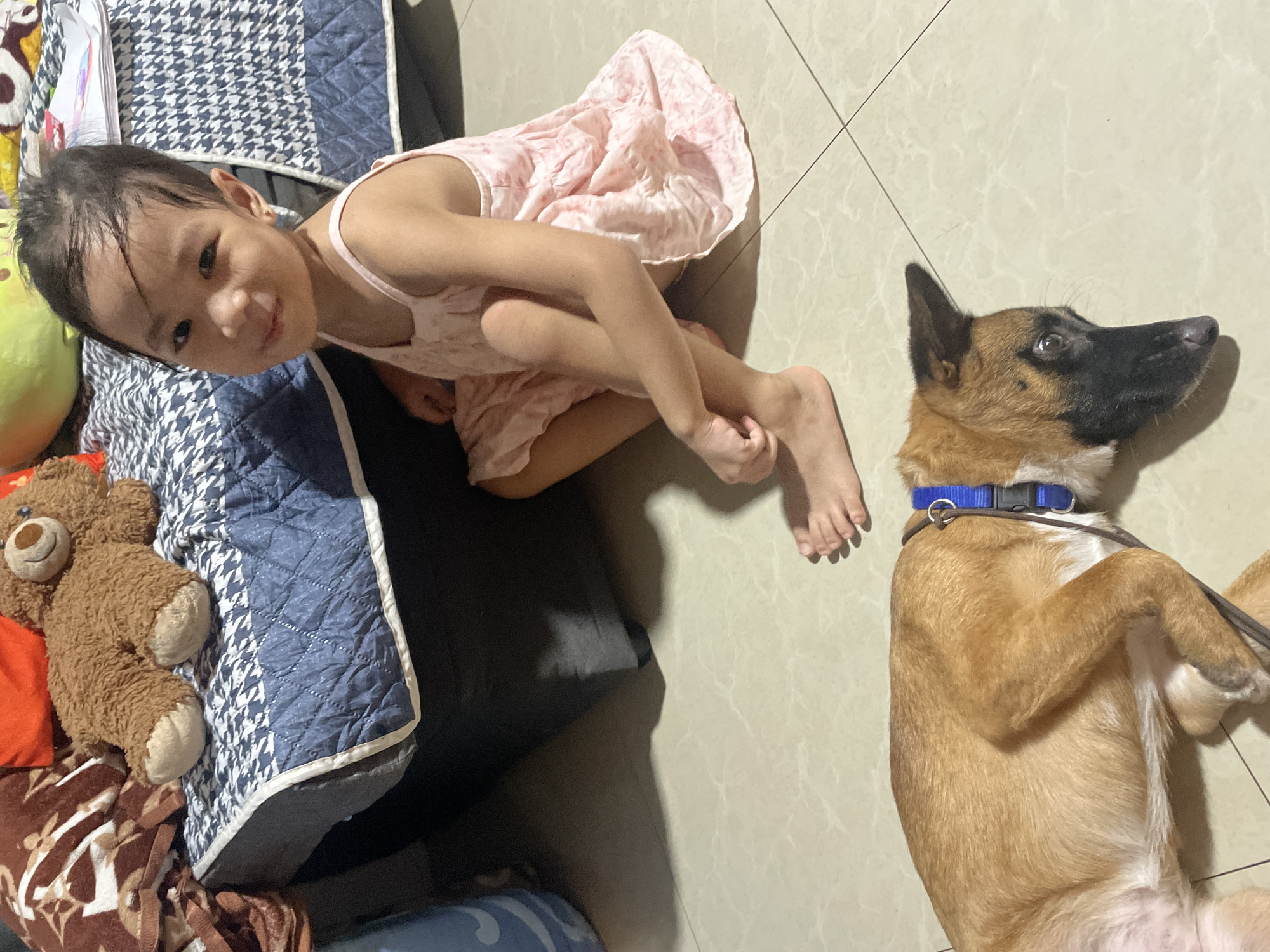 A young girl in a pink dress sits on a tiled floor next to a brown and black dog. The girl is looking at the camera and smiling. The dog is lying down and appears to be resting. Behind the girl and dog is a bed with a blue and white patterned blanket and a teddy bear. The scene suggests a casual indoor setting, likely a home. The image does not contain any overt geographical markers to pinpoint its location within Davao City, Philippines.