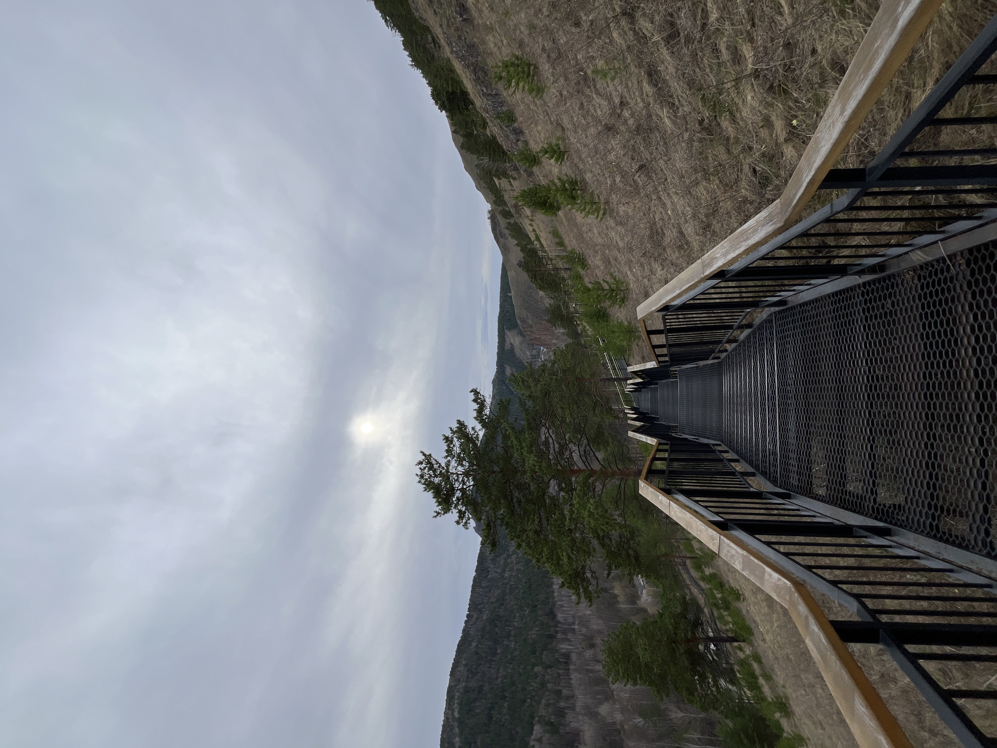 The image shows a long metal pedestrian staircase with railings, located in Krasnoyarsk, Russia. The staircase appears to be built on a hillside or cliff, as steep slopes with vegetation are visible on either side. A single tree stands near the middle of the image, between the staircase and the hillside. The sky is overcast.