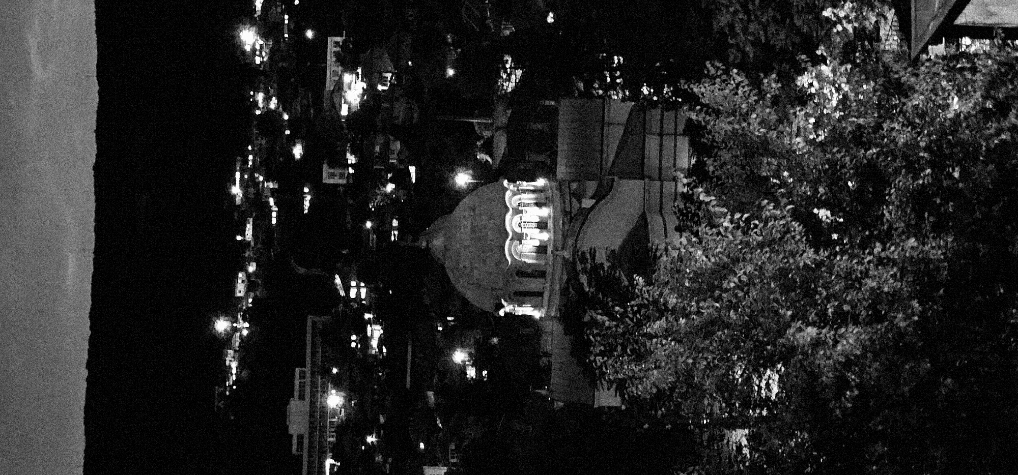 This is a grainy, black and white photograph taken at night, depicting an architectural structure and distant lights. The image appears to be rotated 90 degrees clockwise, so for clarity, the description assumes it has been rotated to an upright orientation.
In the center-right of the frame, a large building with a prominent domed roof and several illuminated arched windows or openings is visible. These lights highlight the architectural details of the structure, which appears to have a classical or religious design. To the right and foreground, a significant amount of dark, dense foliage from trees obscures parts of the scene.
In the background and extending towards the left of the image, numerous small, bright lights are scattered across a dark landscape, indicating other buildings or a distant settlement. The sky is uniformly dark, characteristic of a night scene. The overall image has a high level of graininess, suggesting it was taken in low light conditions or with a high ISO setting. There are no people visible, nor any discernible specific activity or event. No text is visible in the image.