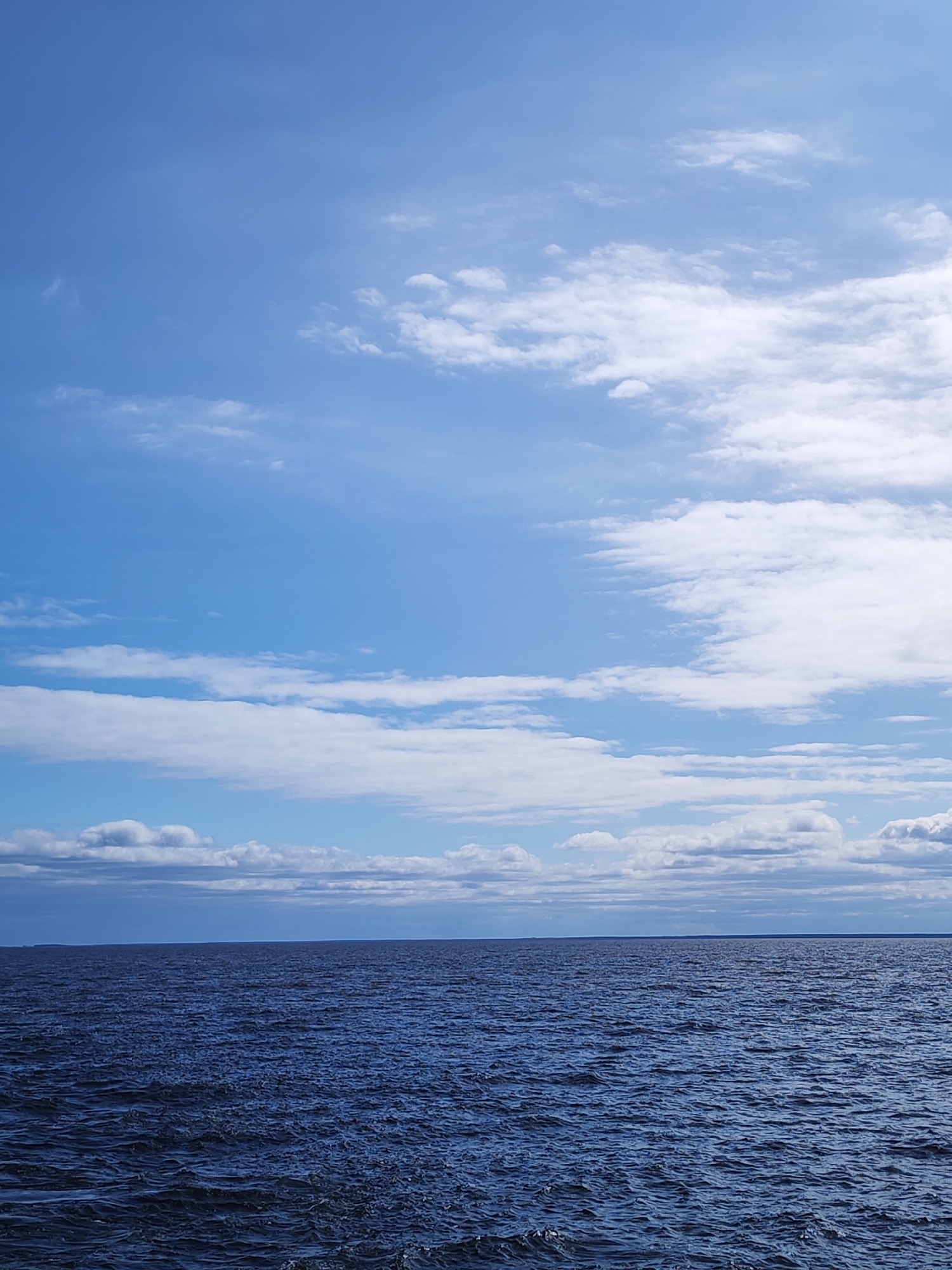 The image depicts a body of water under a sky with scattered clouds. The water is dark blue and has visible ripples. The sky is light blue with white clouds of varying sizes and shapes. The horizon line appears to be land. There are no people or other objects visible in the image. The location is difficult to determine with certainty as the image lacks distinguishing details, but it may be a lake or sea. The reference to Mologa, Russia is not confirmed.