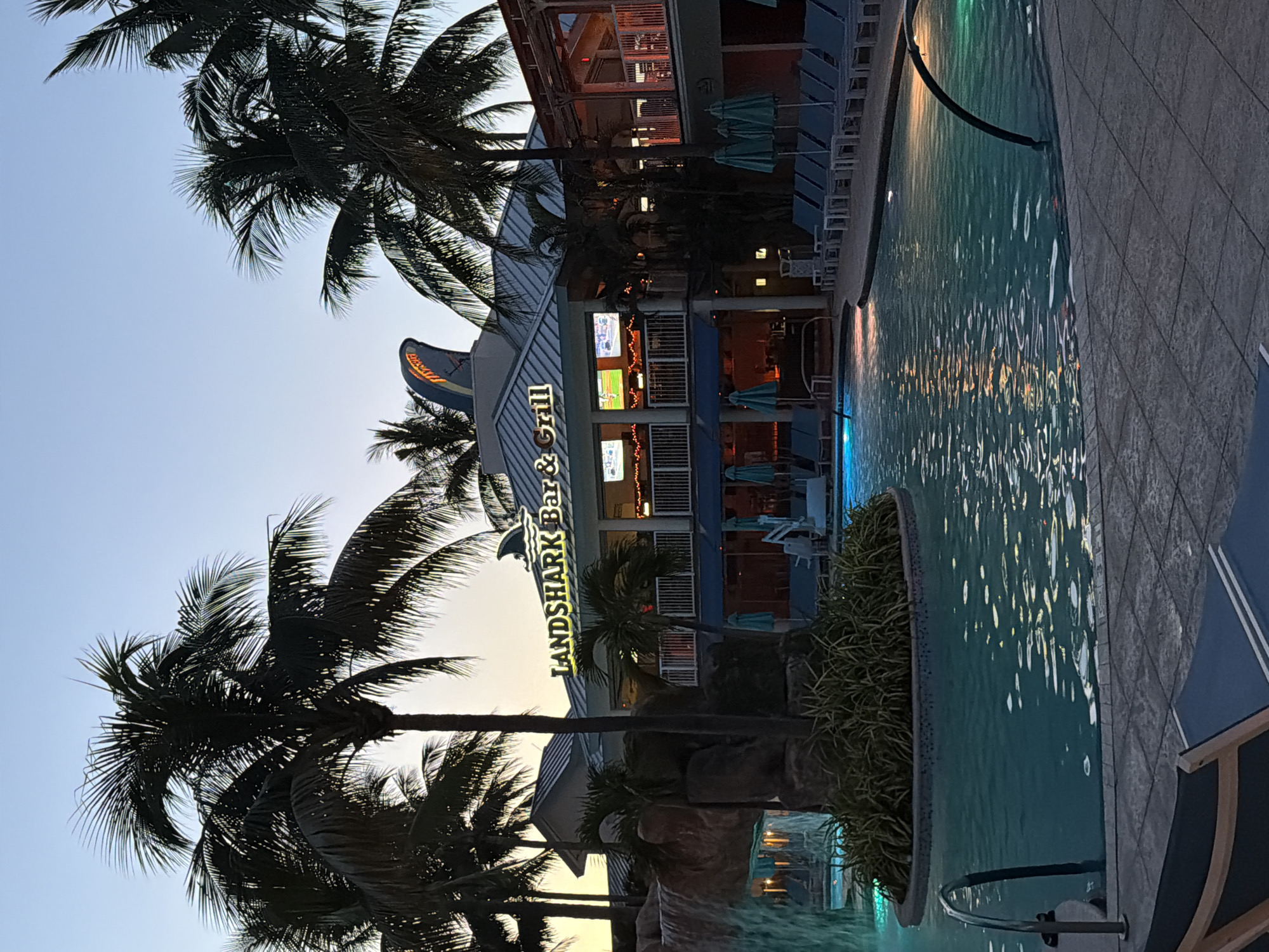 The image shows the exterior of the LandShark Bar & Grill in Hollywood, Florida, United States of America. It is dusk, and the sky is a pale blue. Palm trees frame the scene, silhouetted against the fading light. The bar and grill is a multi-story building with a distinctive shark fin logo on the roof. The building is lit up with neon signs and interior lights. In front of the building is a swimming pool with colorful lights illuminating the water. Several lounge chairs are visible around the pool, and umbrellas are set up on a patio. A waterfall feature is visible to the left of the building, cascading into the pool. The scene depicts a tropical resort atmosphere.