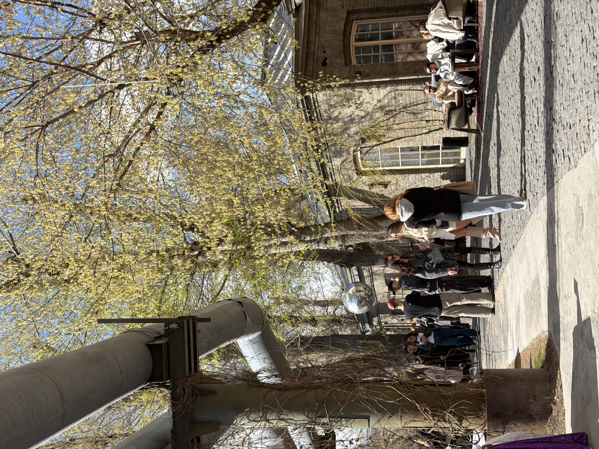 Outdoors in Moscow, Russia, several people are lined up, with another group sitting and watching. The people in line are standing on a cobblestone pathway. Behind them, large pipes are situated vertically, intertwined with branches from trees. A disco ball hangs in the middle. The people watching are sitting in chairs on a red rug near the building. The sky is light blue and visible through the trees. The building is made of dark brick with several windows.