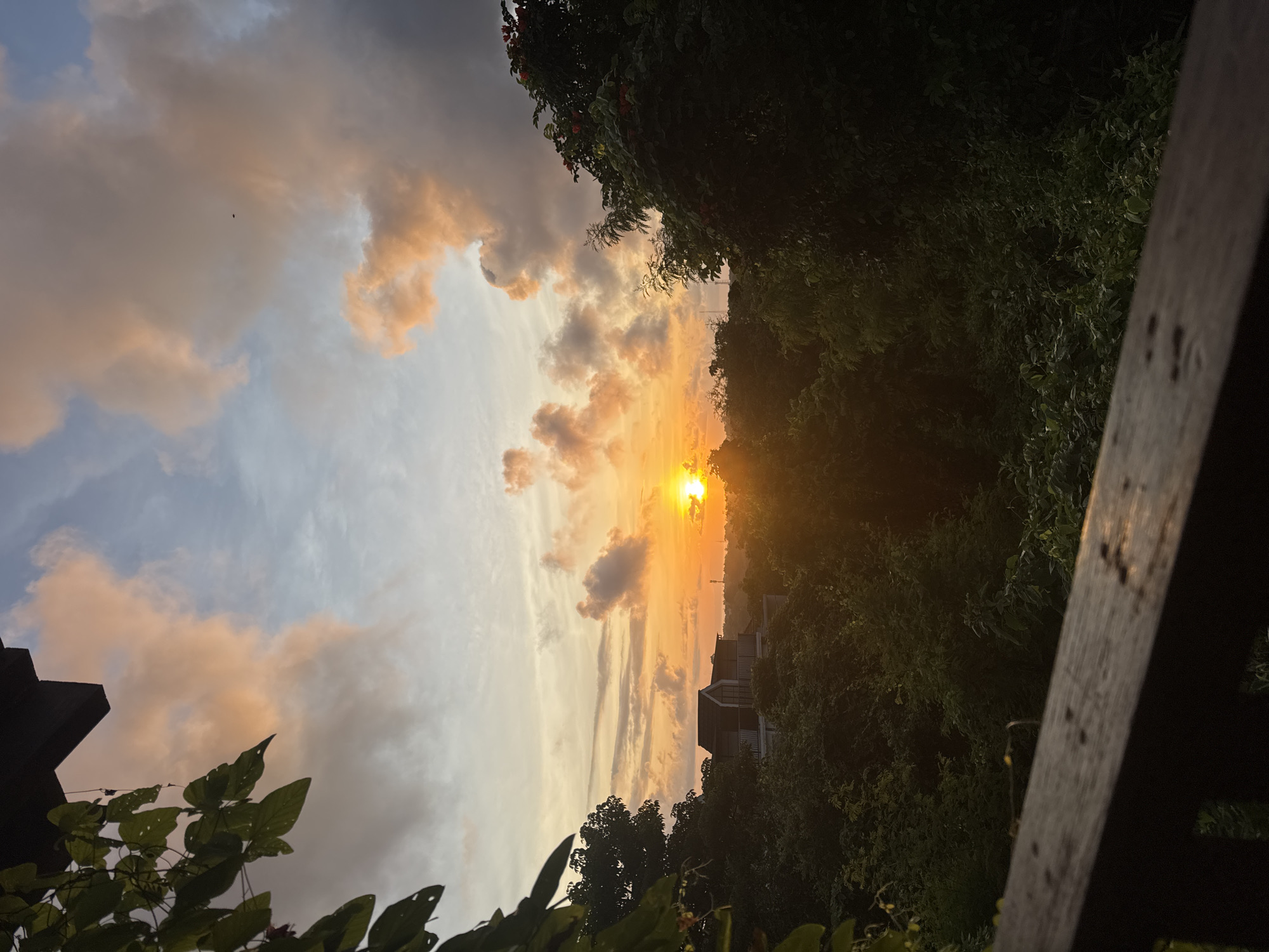 The image captures a sunset in Ungasan, Indonesia. The sun is low on the horizon, casting a bright glow through the trees and on the clouds. The sky is a mix of pale blue, gray, and orange hues. There are some buildings partially visible amidst the trees. Some greenery is in the foreground.