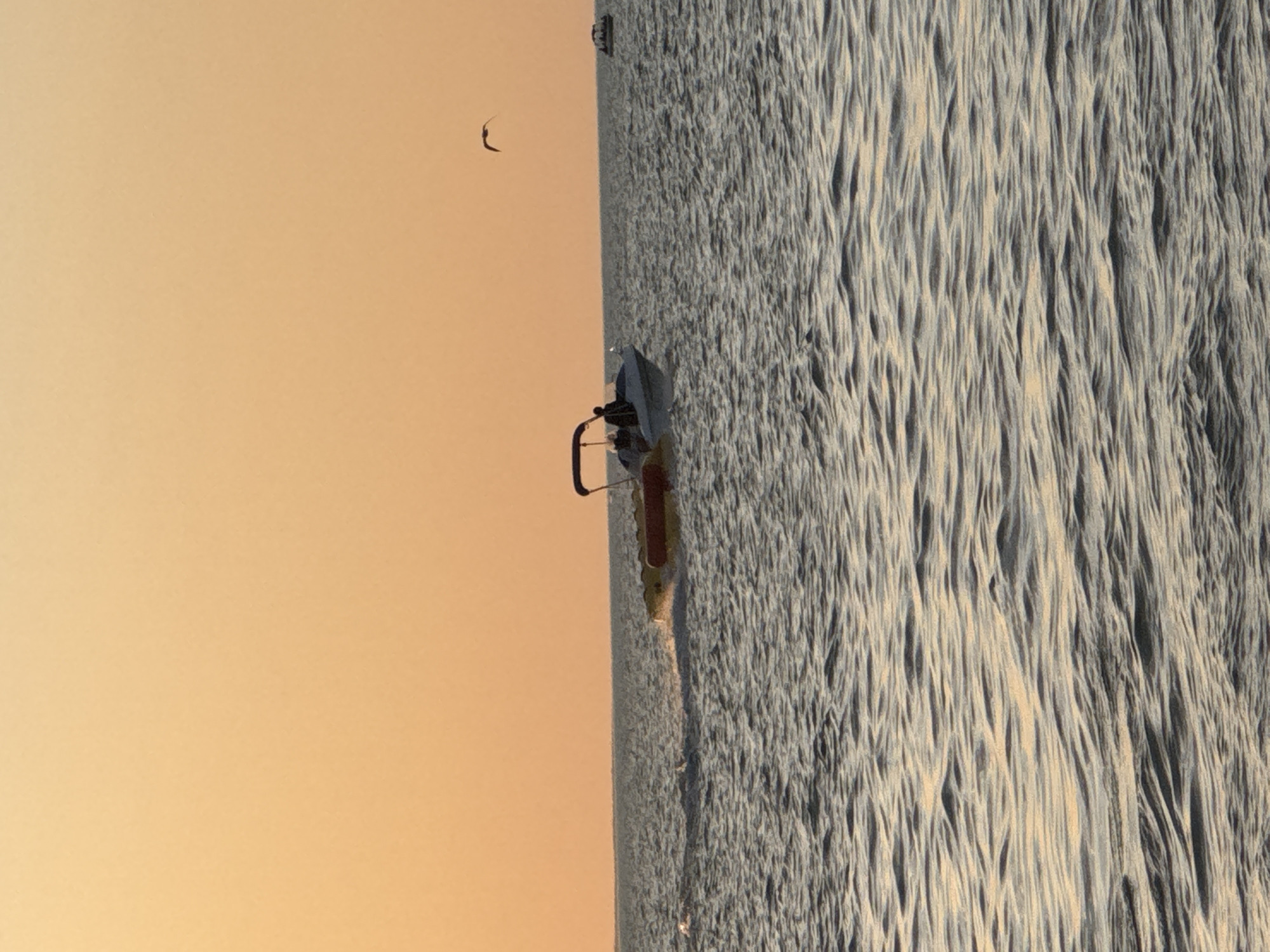 The image depicts a serene seascape at sunset, with the sky painted in warm hues of orange and yellow. The sun is not visible, but its soft glow illuminates the scene. The sea is calm, with gentle ripples creating a textured surface. In the mid-ground, a small white motorboat is cruising, leaving a faint white wake behind it. The boat appears to be towing a yellow inflatable tube, suggesting recreational activity. Two individuals are visible in the boat, likely operating it. Further in the distance, another smaller boat is visible on the horizon. A single seagull is captured mid-flight in the upper right portion of the frame. The scene is set against the backdrop of a clear sky and a vast expanse of water, conveying a peaceful and idyllic atmosphere. There is no indication of the location being in Zharbulak, Kazakhstan.