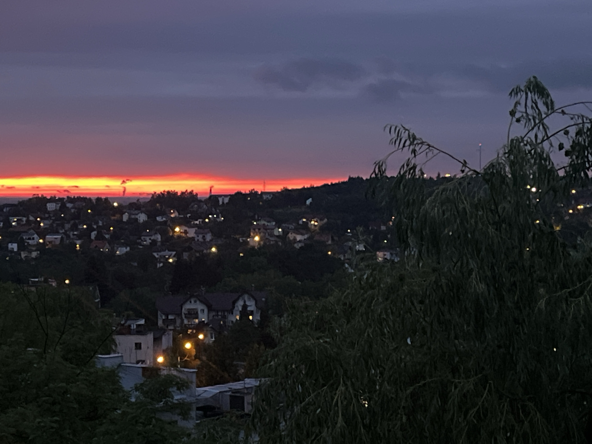 The image depicts a twilight scene over a hilly urban landscape. The sky is a gradient of deep purple at the top, transitioning to vibrant orange and yellow near the horizon, indicative of a sunset or sunrise. Silhouetted against this sky are trees and the rooftops of numerous buildings spread across the hills. Streetlights and lights from within the houses are visible as small, warm-toned dots, illuminating the darkening cityscape. In the foreground, a large tree with long, drooping branches partially obscures the view of the buildings and the sky. The overall impression is one of a quiet evening in a residential area.