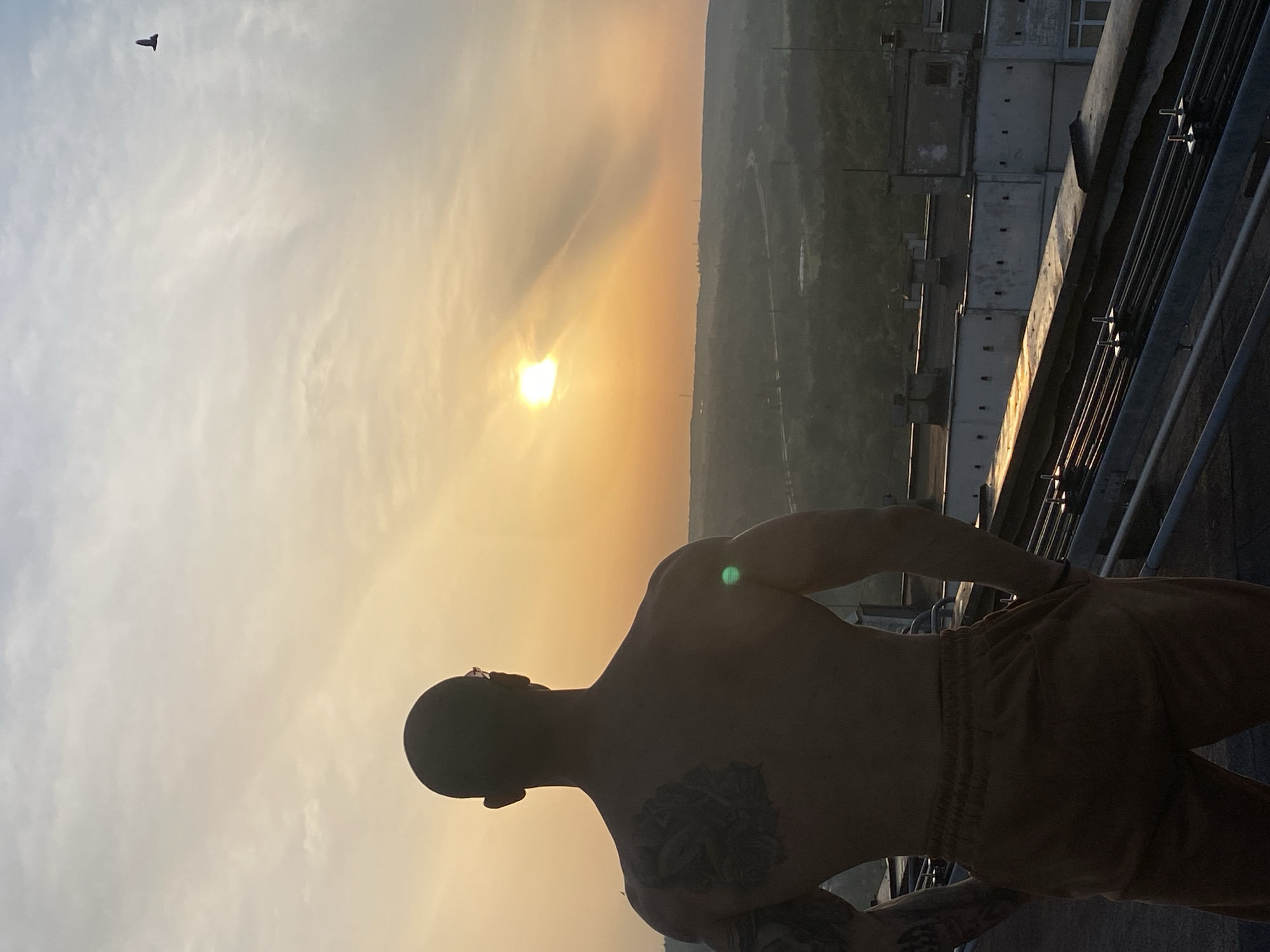 A photograph taken in Pleven, Bulgaria, showing a man with a shaved head wearing pants and no shirt standing on a rooftop at sunset. The man is in the foreground and is partially silhouetted against the bright light of the setting sun. His back and arms are visible, with tattoos on his torso and arms. A building and pipes are on the right side of the photo. In the sky, to the left, is a bird and some clouds. The backdrop features a hill and some trees. The photo is rotated to the right.
