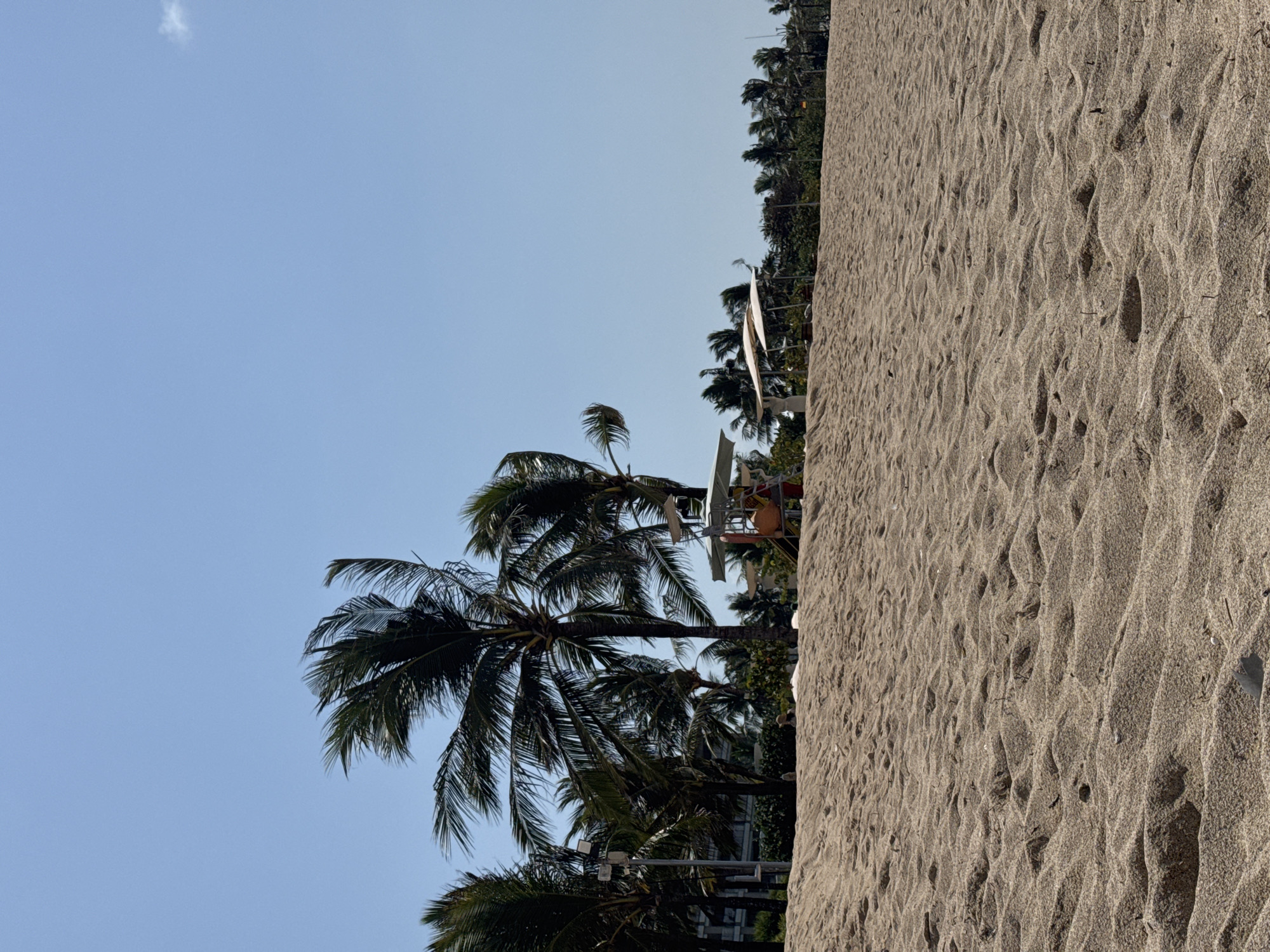 The image depicts a sandy beach with palm trees in the background under a clear blue sky. In the foreground, the sand is textured with ripples and some debris. In the midground, several palm trees are visible, some with their fronds swaying, suggesting wind. A lifeguard stand with a red base and a white platform is situated among the trees on the right side of the image. Further back, more palm trees and some low-lying vegetation line the horizon. A building or resort structure can be seen peeking through the trees on the left. There are no people clearly visible in the scene. The overall impression is a tropical or subtropical beach setting on a sunny day.