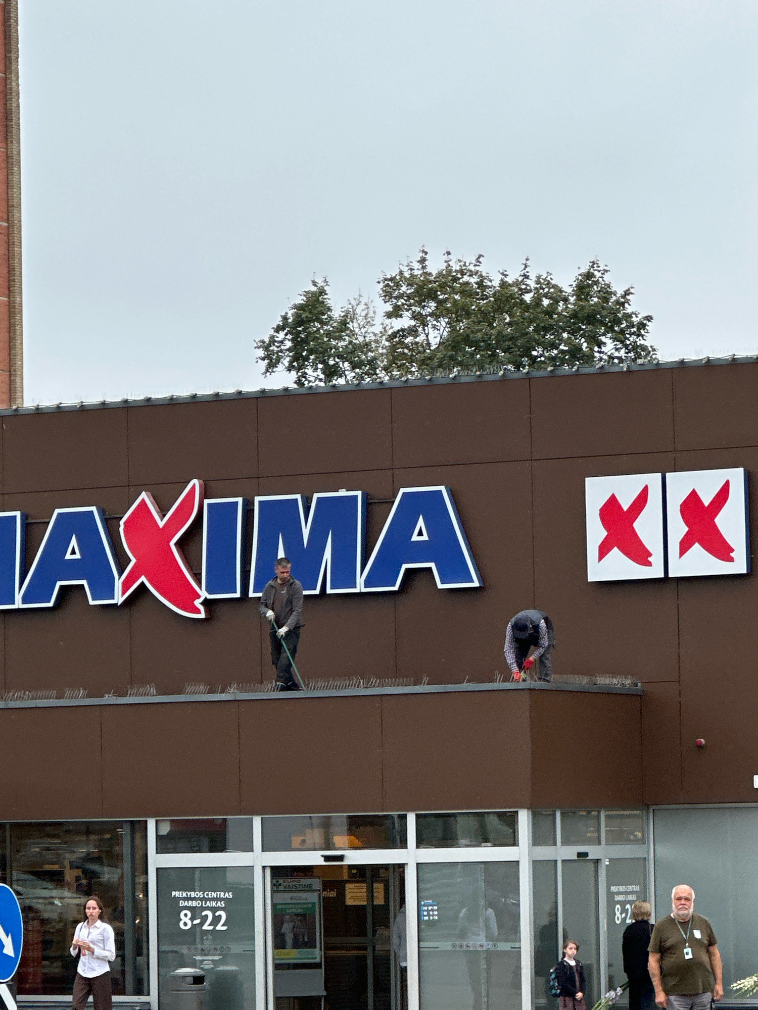 In Vilnius, Lithuania, two men are working on the rooftop of a Maxima supermarket. The supermarket's signage, featuring large blue letters and a red "X" logo, is visible. The man on the left is standing and using a long pole to sweep the roof, while the man on the right is crouching and appears to be installing something on the roof. Both men are wearing work clothes. The building has a brown facade, and a few trees are visible behind the rooftop. Below the supermarket, the entrance area shows a glass facade with people entering and exiting. One woman in a white shirt and dark pants is standing outside the entrance. Another man in a green t-shirt and dark pants is also standing near the entrance, looking towards the camera. A young girl with a backpack is visible in the background. Signs indicating "PREKYBOS CENTRAS DARBO LAIKAS 8-22" (Shopping Center Opening Hours 8-22) are displayed on the glass doors. The sky is overcast.