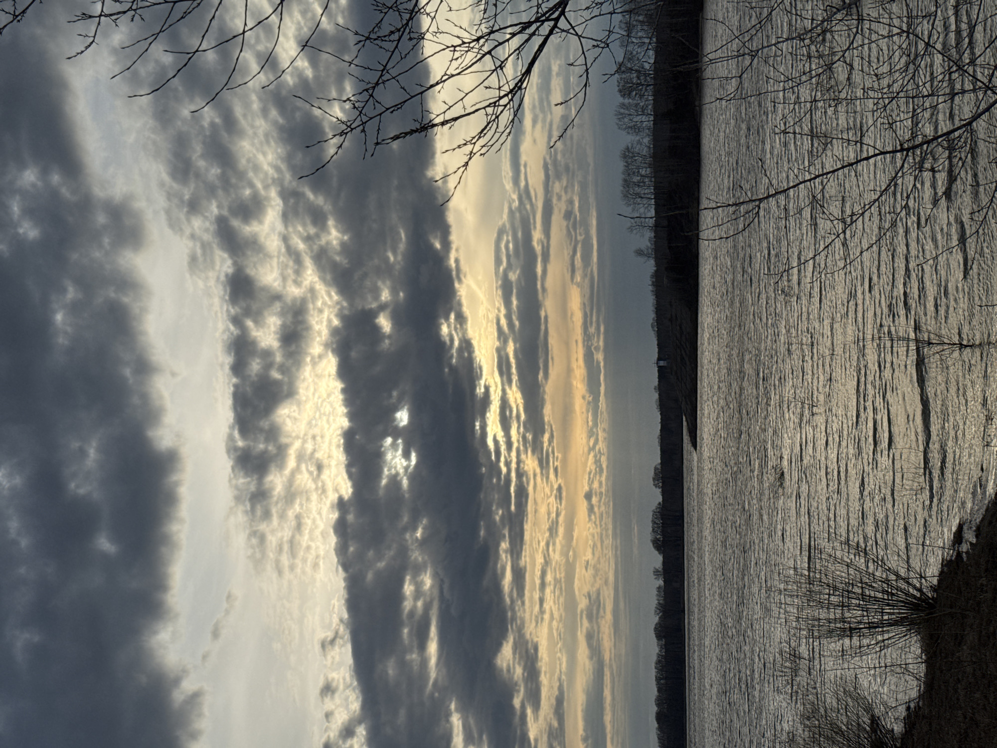 This landscape image, likely captured in Chaikovsky, Russia, presents a serene yet dramatic natural scene, possibly during late afternoon or early evening. The photograph is split horizontally between a vast sky and a large body of water.
The upper half of the frame is dominated by an expansive sky filled with dynamic, textured clouds. Dark, heavy grey clouds intermingle with bright, luminous patches where warm, golden sunlight dramatically breaks through, casting a striking glow. Intricate patterns of bare, dark tree branches with delicate twigs arch into the frame from the top, silhouetted against the cloudy backdrop.
The lower half of the image features a wide expanse of water, likely a lake or a broad river. The surface of the water is ruffled with small waves or ripples, reflecting the muted light from the sky in silvery-grey tones. A distant treeline, composed of bare deciduous trees, stretches horizontally along the far bank, forming a low, dark silhouette against the horizon. In the bottom right foreground, a dark, spiky bush or clump of vegetation adds depth to the scene.
The interplay of light and shadow, particularly on the clouds and water, creates a captivating and tranquil atmosphere. The bare branches and trees suggest the season might be late autumn, winter, or early spring. There are no people, specific activities, or visible text in the image.