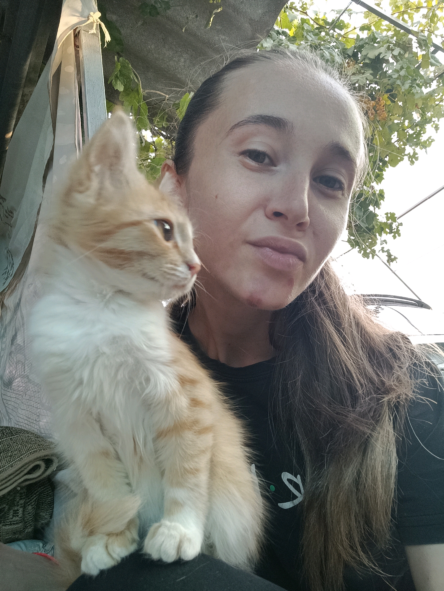 In Vypasne, Ukraine, a young woman with long, dark hair pulled back and a black t-shirt is holding a ginger and white kitten. The kitten is looking to its left with its ears perked. The woman is looking forward, and her face is slightly blurred. They are outdoors, with greenery and what appears to be a corrugated metal roof in the background. Sunlight filters through the leaves, creating a dappled effect.